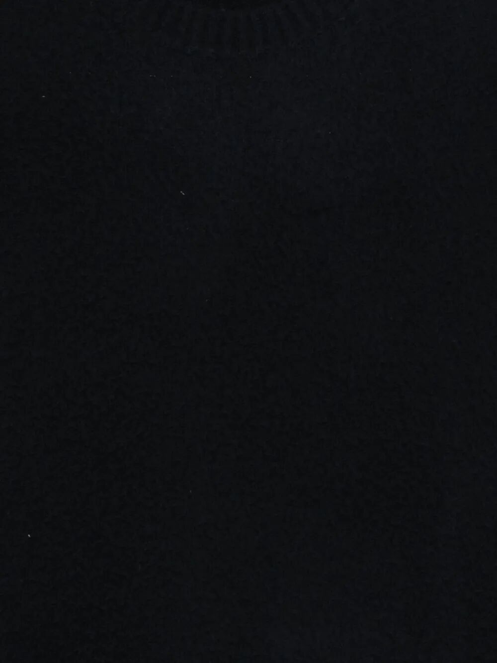 CASENTINO-EFFECT CREWNECK SWEATER M21401M2110 (roberto collina / ニット・セーター・カーディガン ) | roberto collina (ロベルトコリーナ)(2)