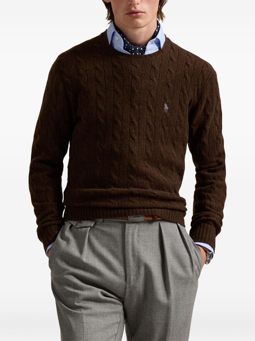 Polo Ralph Lauren Sweaters Brown 710876762029 (Polo Ralph Lauren / ニット・セーター・カーディガン ) | Polo Ralph Lauren (ポロ ラルフ ローレン)(1)