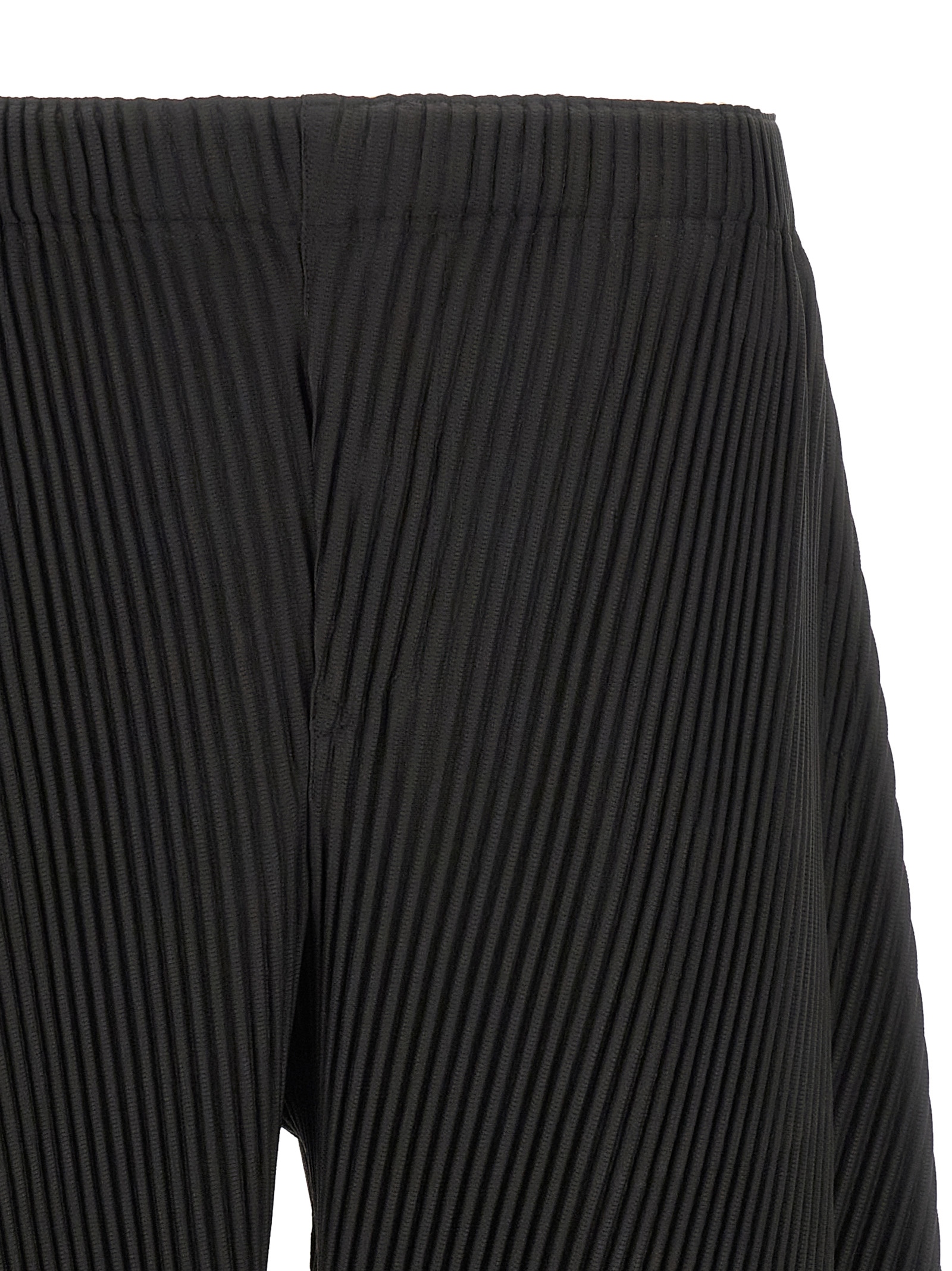 'Angular Stone' pants HP58JF30713 (HOMME PLISSÉ ISSEY MIYAKE / パンツ ) | HOMME PLISSÉ ISSEY MIYAKE (オムプリッセ イッセイ ミヤケ)(2)