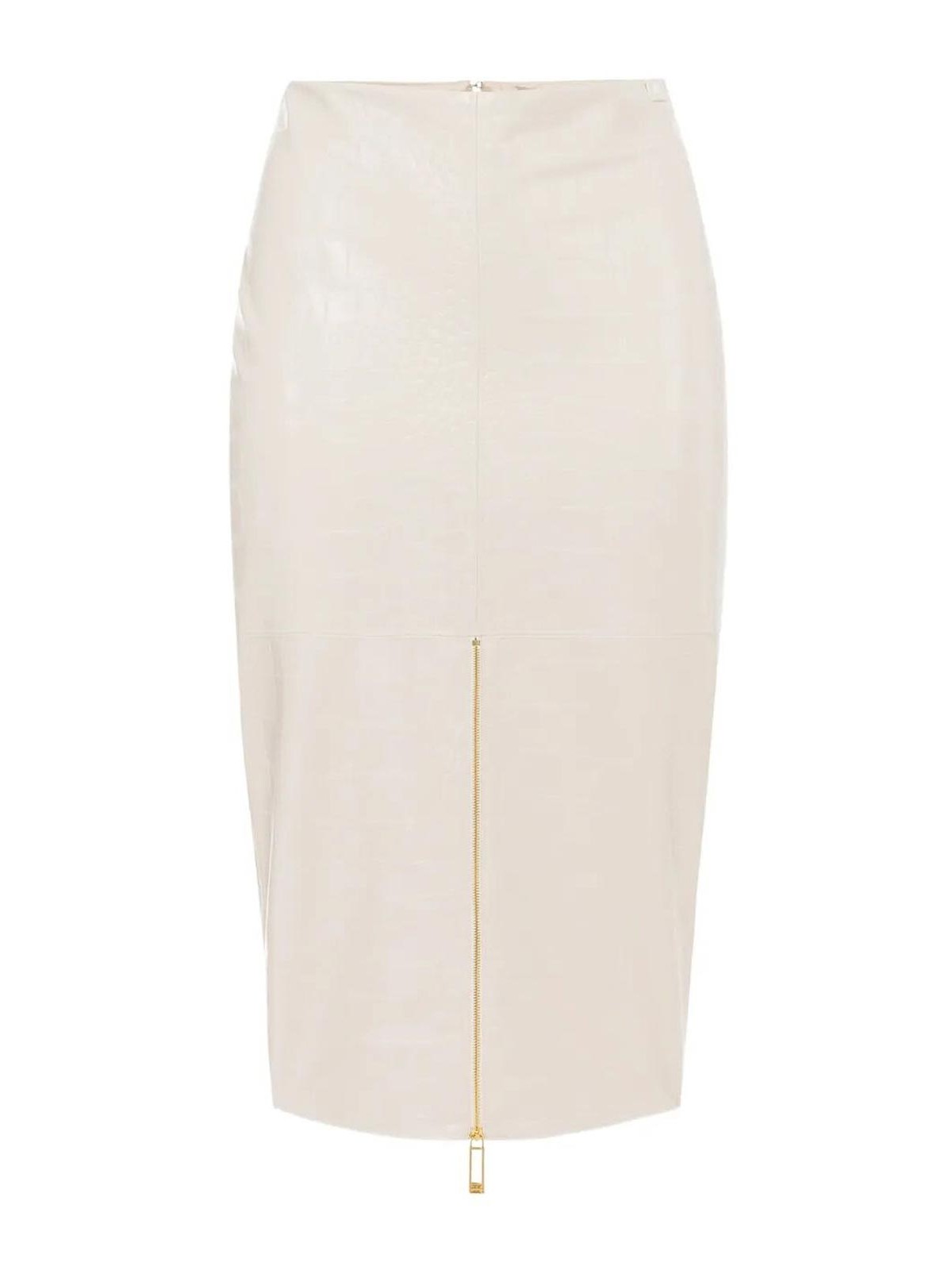 Skirt GO10856E2DZ9 (Elisabetta Franchi / スカート ) | Elisabetta Franchi (エリザベッタ フランキ)