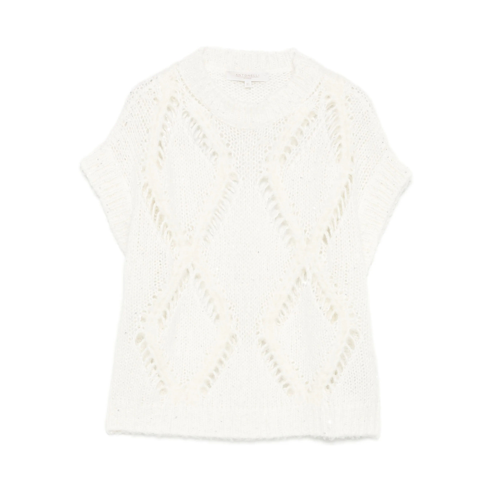 Sweater Antonelli 41682PTARQUINIO20120 (ANTONELLI / ニット・セーター・カーディガン ) | ANTONELLI (アントネッリ)