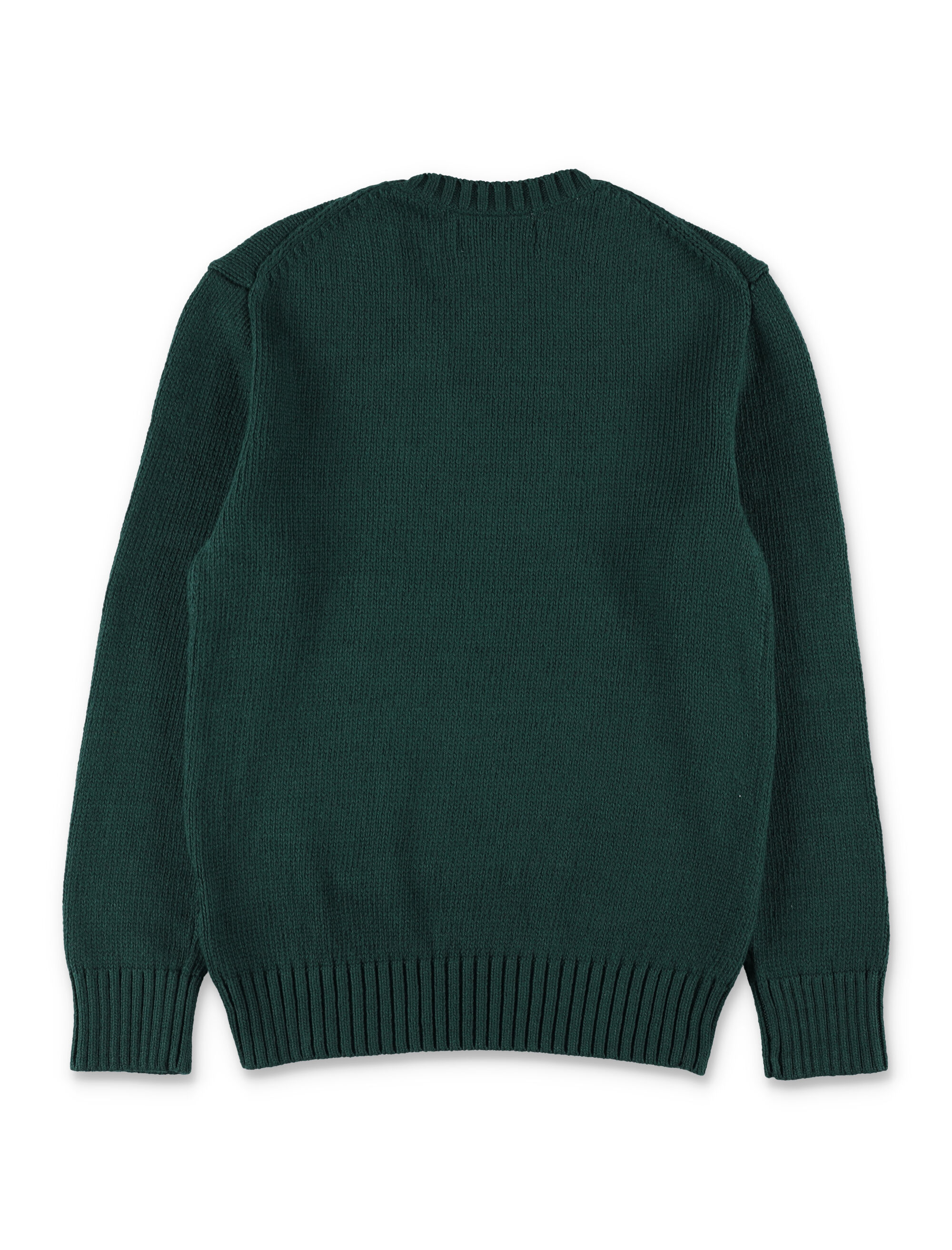 Polo Ralph Lauren Sweaters Green 978393001 (Polo Ralph Lauren / ニット・セーター・カーディガン ) | Polo Ralph Lauren (ポロ ラルフ ローレン)(2)