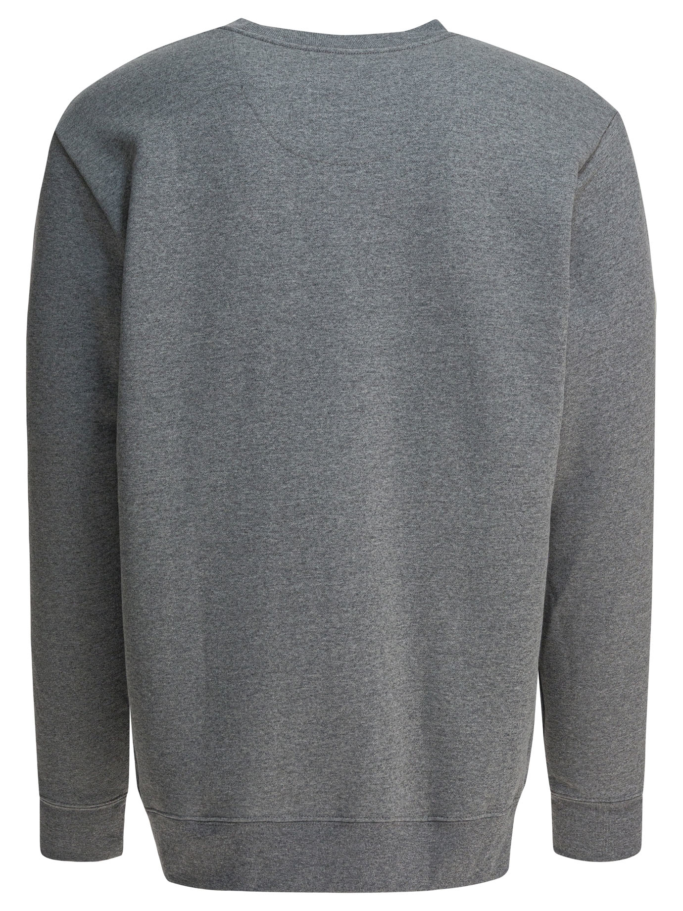 "Fitz Roy Icon Uprisal" crewneck sweatshirt 39667GLH (patagonia / スウェット・フーディー ) | patagonia (パタゴニア)(1)