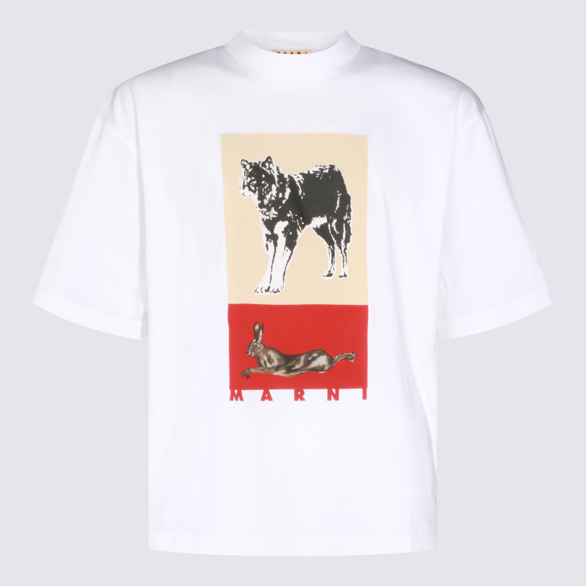 Marni T-shirts and Polos HUMU0223VPUSCY48PRW01 (Marni / Tシャツ・カットソー ) | Marni (マルニ)