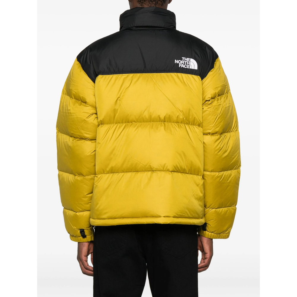 Outerwear The North Face NF0A3C8DDCO1 (THE NORTH FACE / ダウンジャケット・コート ) | THE NORTH FACE (ザ・ノース・フェイス)(1)