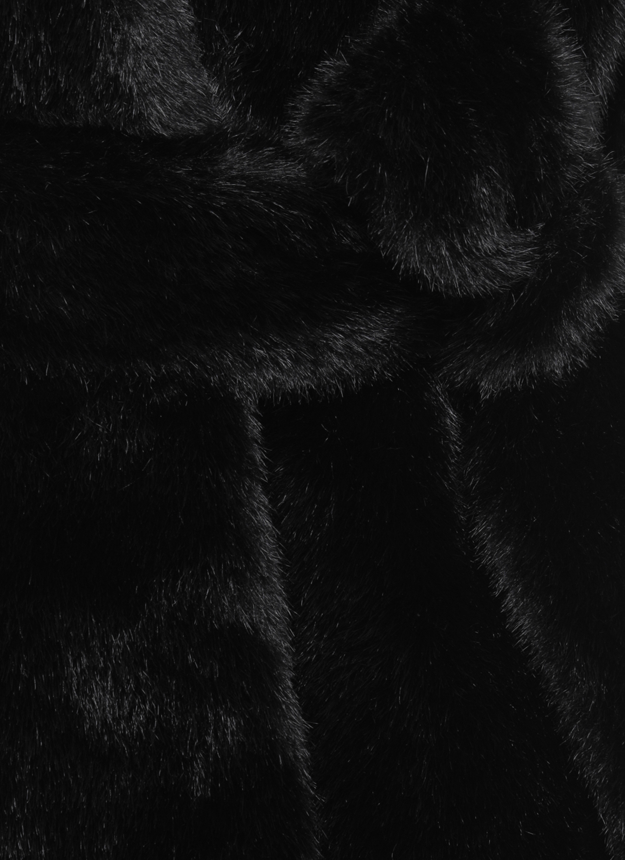 VALENTINI 1972 Coats Black E3113ECOMINKBLACK (VALENTINI 1972 / レザー&ファージャケット・コート ) | VALENTINI 1972 (ヴァレンティーニ 1972)(3)