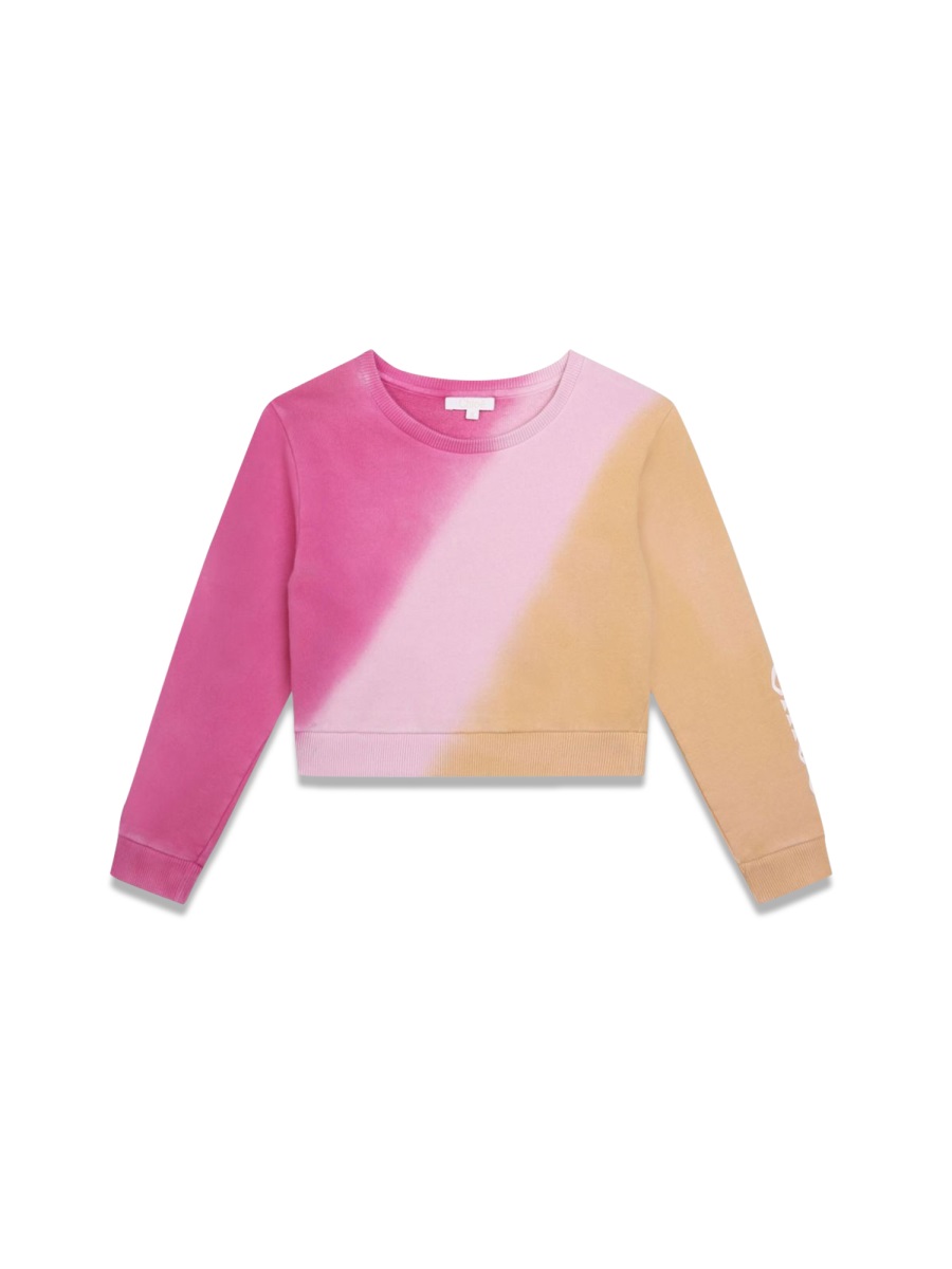 Sweatshirt C20106KS05 (Chloé / スウェット・フーディー ) | Chloé (クロエ)