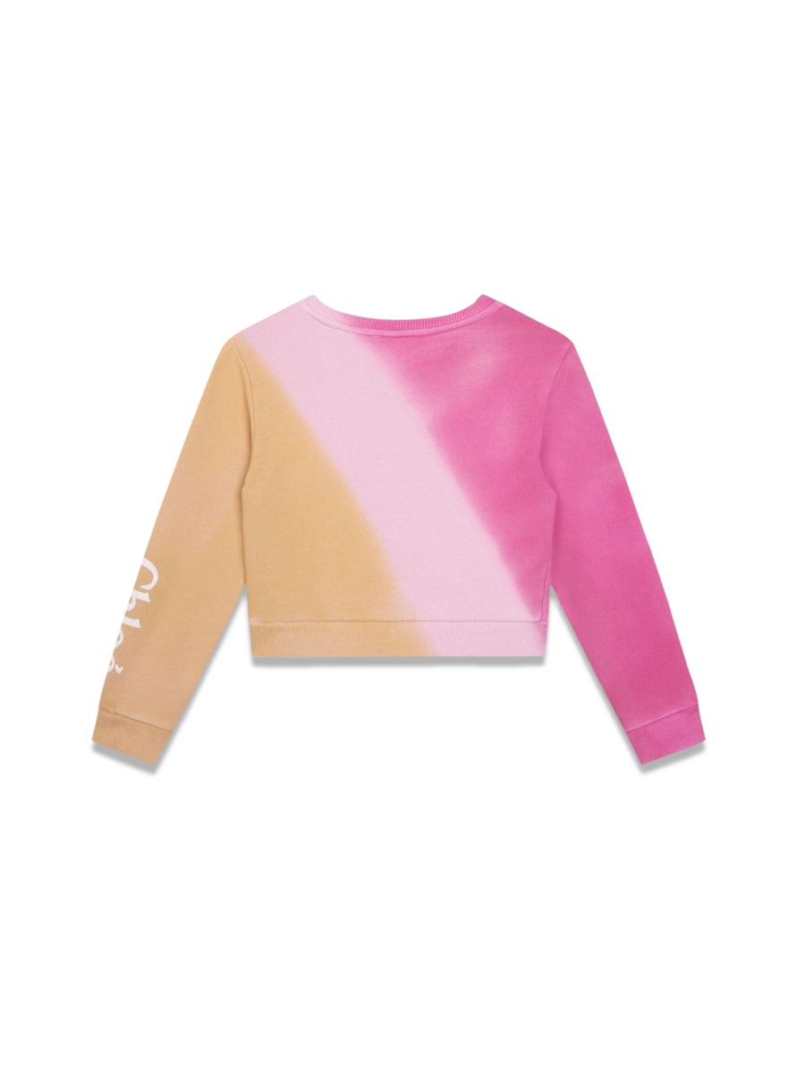 Sweatshirt C20106KS05 (Chloé / スウェット・フーディー ) | Chloé (クロエ)(1)