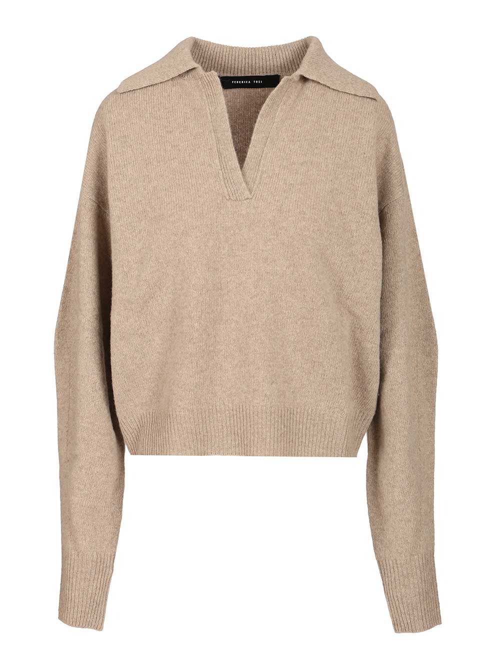 Wool and cashmere knit polo 3200435125 (FEDERICA TOSI / ニット・セーター・カーディガン ) | FEDERICA TOSI (フェデリカ トシ)