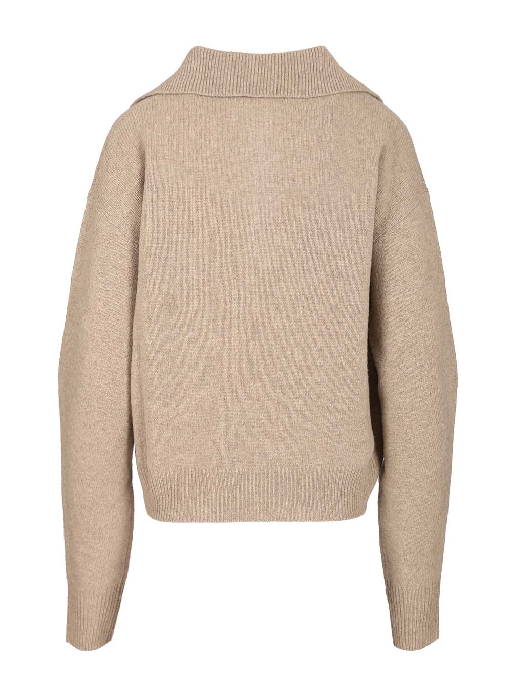 Wool and cashmere knit polo 3200435125 (FEDERICA TOSI / ニット・セーター・カーディガン ) | FEDERICA TOSI (フェデリカ トシ)(1)