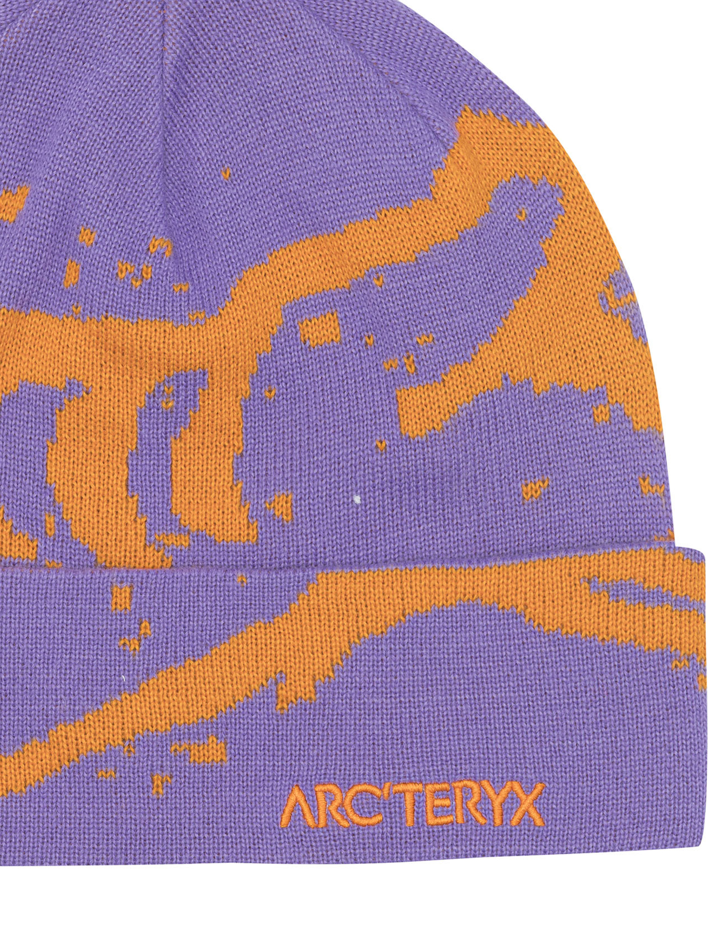 "Grotto TQ" beanie X000010067GROTTO (ARC'TERYX / 帽子 ) | ARC'TERYX (アークテリクス)(2)