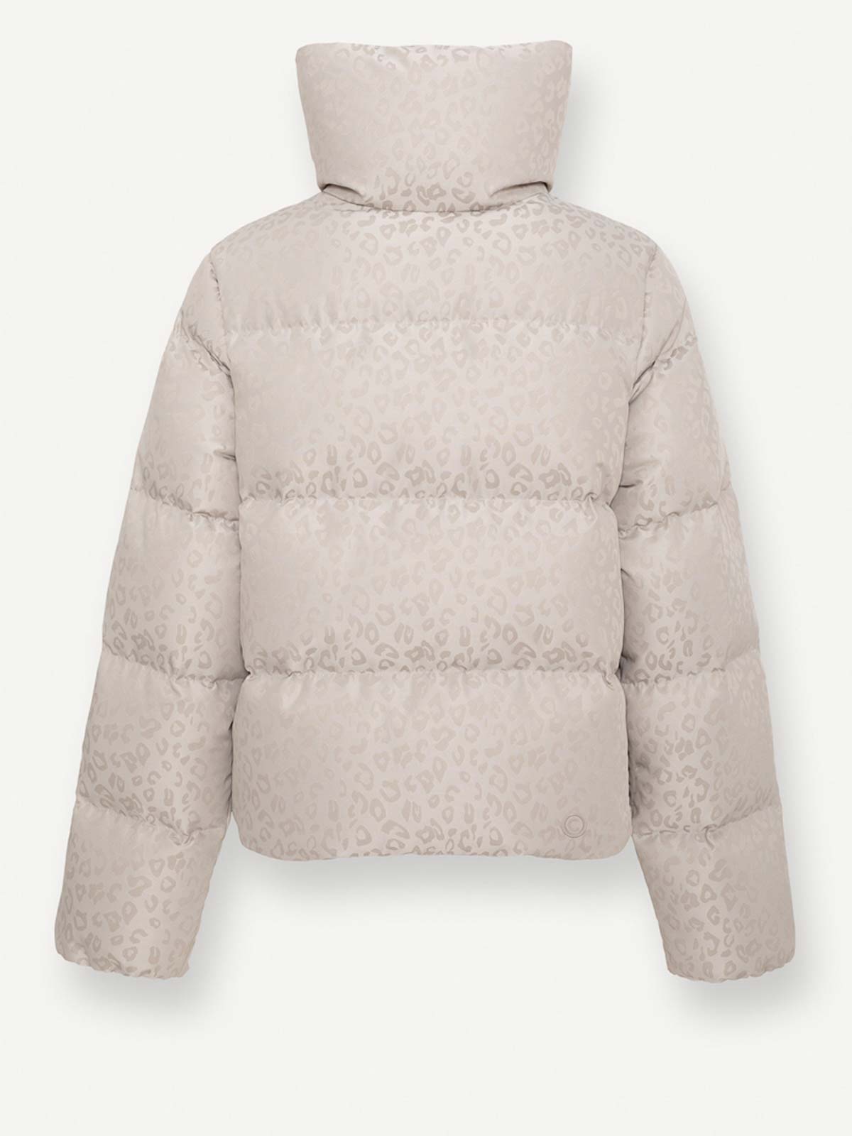 Jacket 21894ZO06 (COLMAR / ダウンジャケット・コート ) | COLMAR (コルマー)(1)