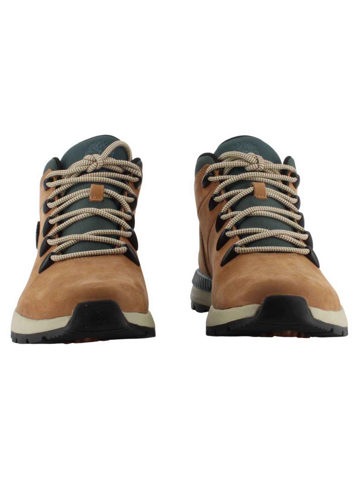 Sneakers TB0A6DQDEUW1 (Timberland / スニーカー ) | Timberland (ティンバーランド)(3)
