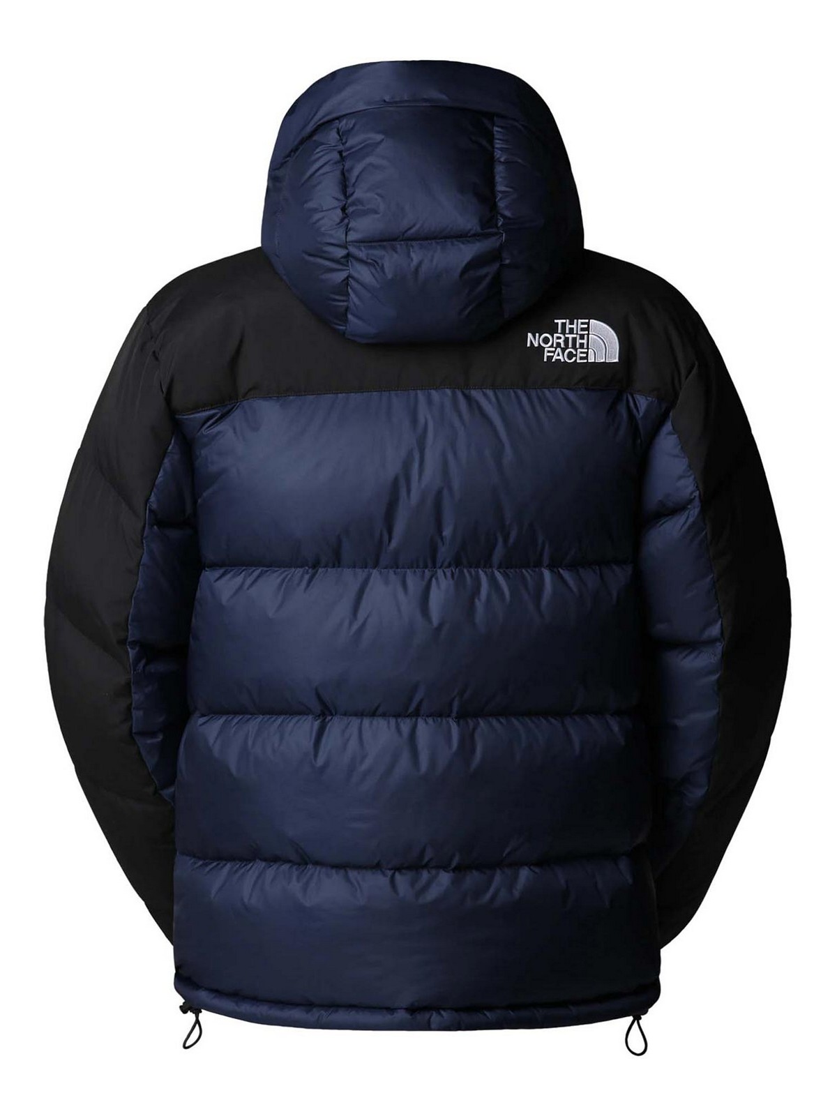 Jacket NF0A4QYX92A1NF92A (THE NORTH FACE / ダウンジャケット・コート ) | THE NORTH FACE (ザ・ノース・フェイス)(1)