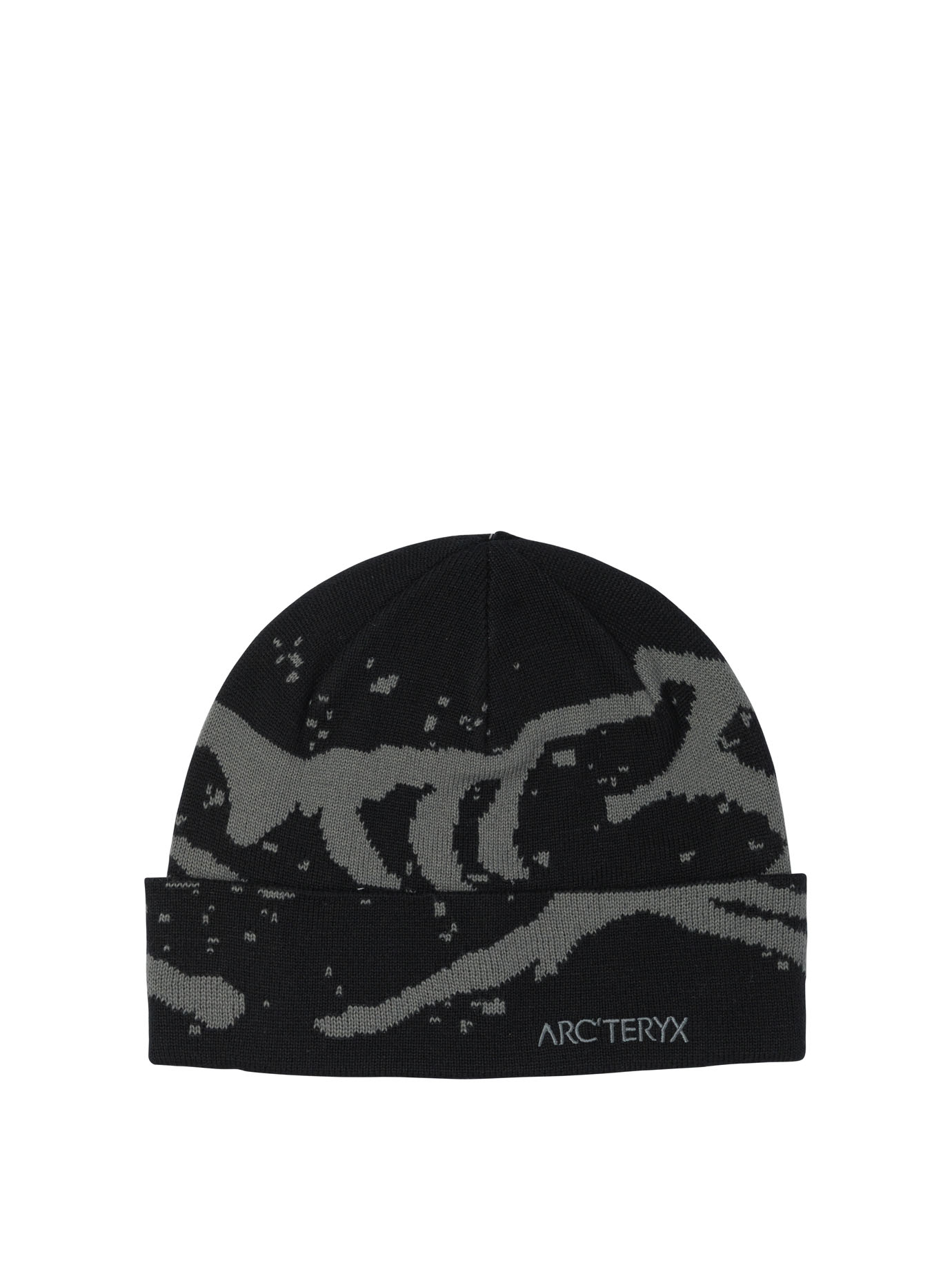 "Grotto TQ" beanie X000010067GROTTO (ARC'TERYX / 帽子 ) | ARC'TERYX (アークテリクス)