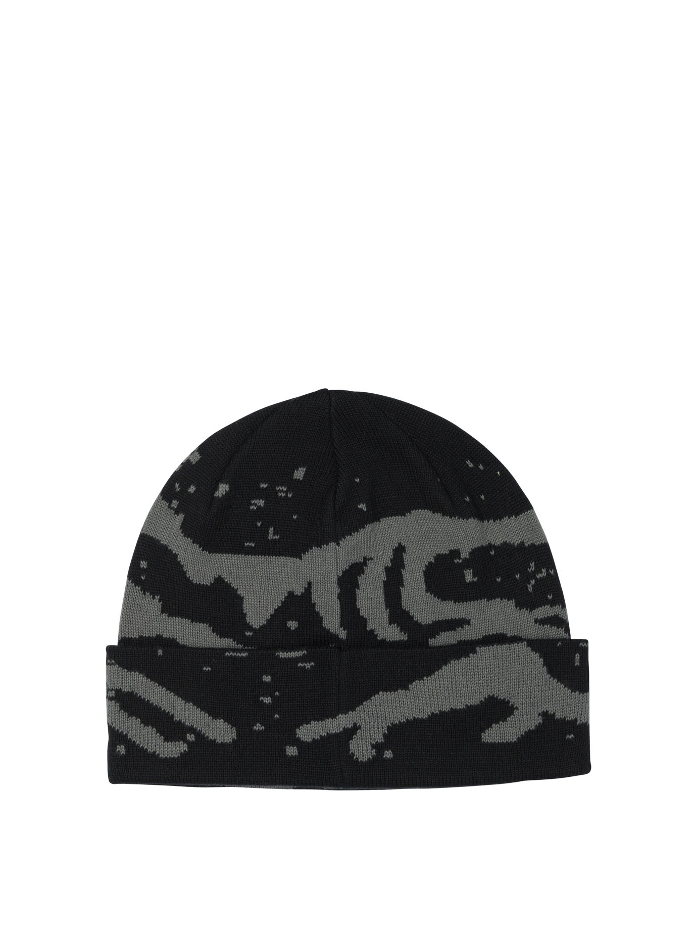 "Grotto TQ" beanie X000010067GROTTO (ARC'TERYX / 帽子 ) | ARC'TERYX (アークテリクス)(1)