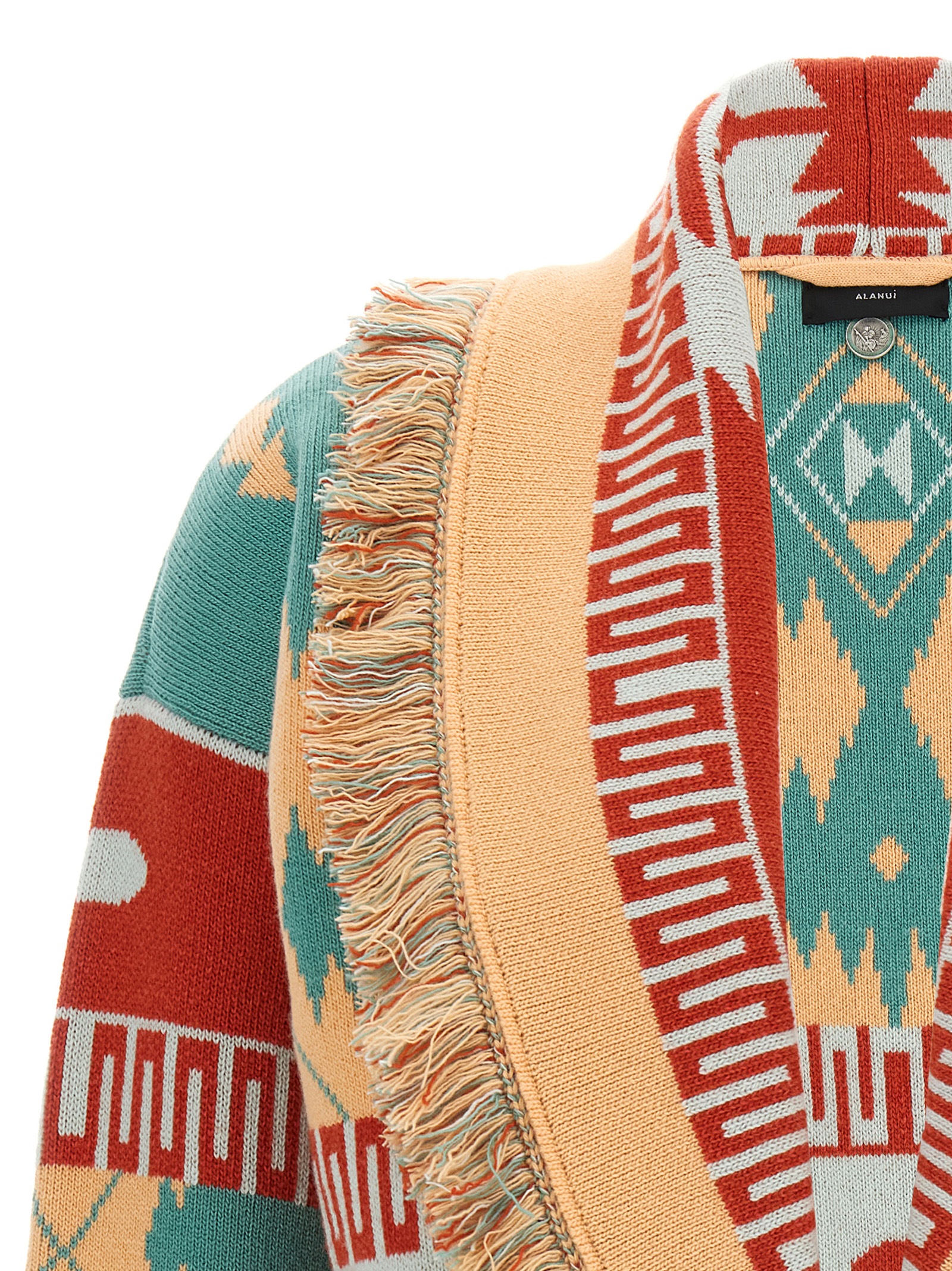 'Icon' Thistles LWHB026R26KNI00151195119 (ALANUI / ニット・セーター・カーディガン ) | ALANUI (アラヌイ)(2)