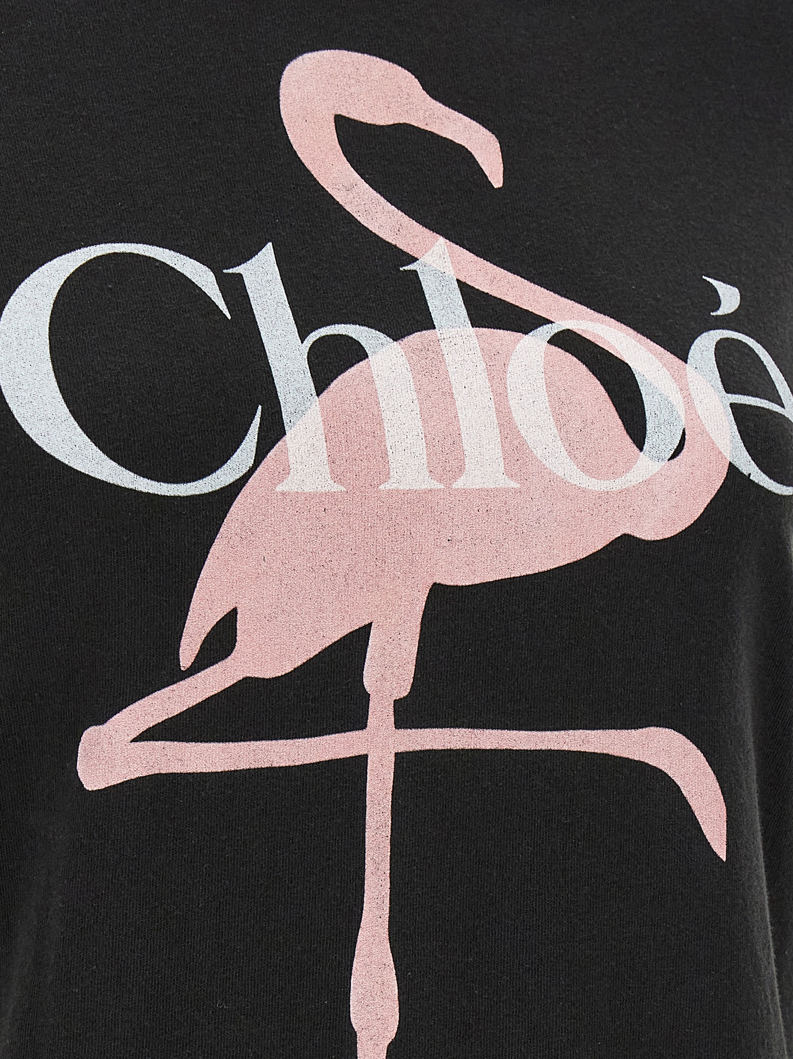 Printed T-shirt CH26SJH08194070 (Chloé / Tシャツ・カットソー ) | Chloé (クロエ)(3)