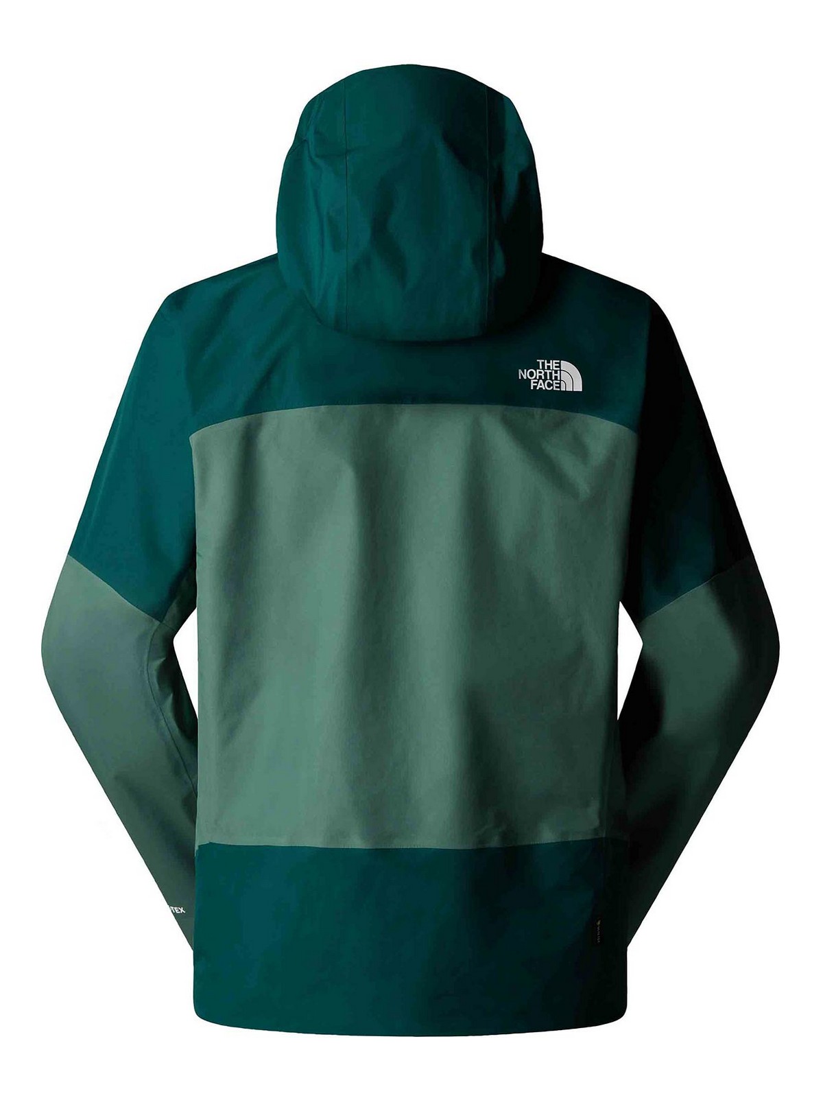 Jazzi 3L Gtx Jacket NF0A897658SDUCK (THE NORTH FACE / カジュアルジャケット ) | THE NORTH FACE (ザ・ノース・フェイス)(1)