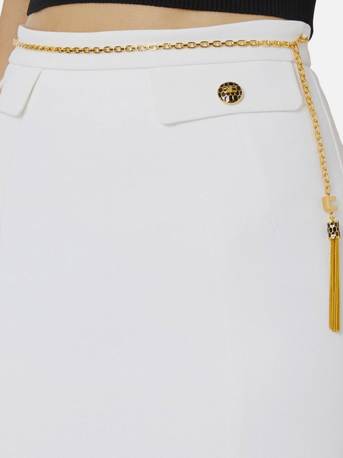 Skirt GO14857E2360 (Elisabetta Franchi / スカート ) | Elisabetta Franchi (エリザベッタ フランキ)(3)