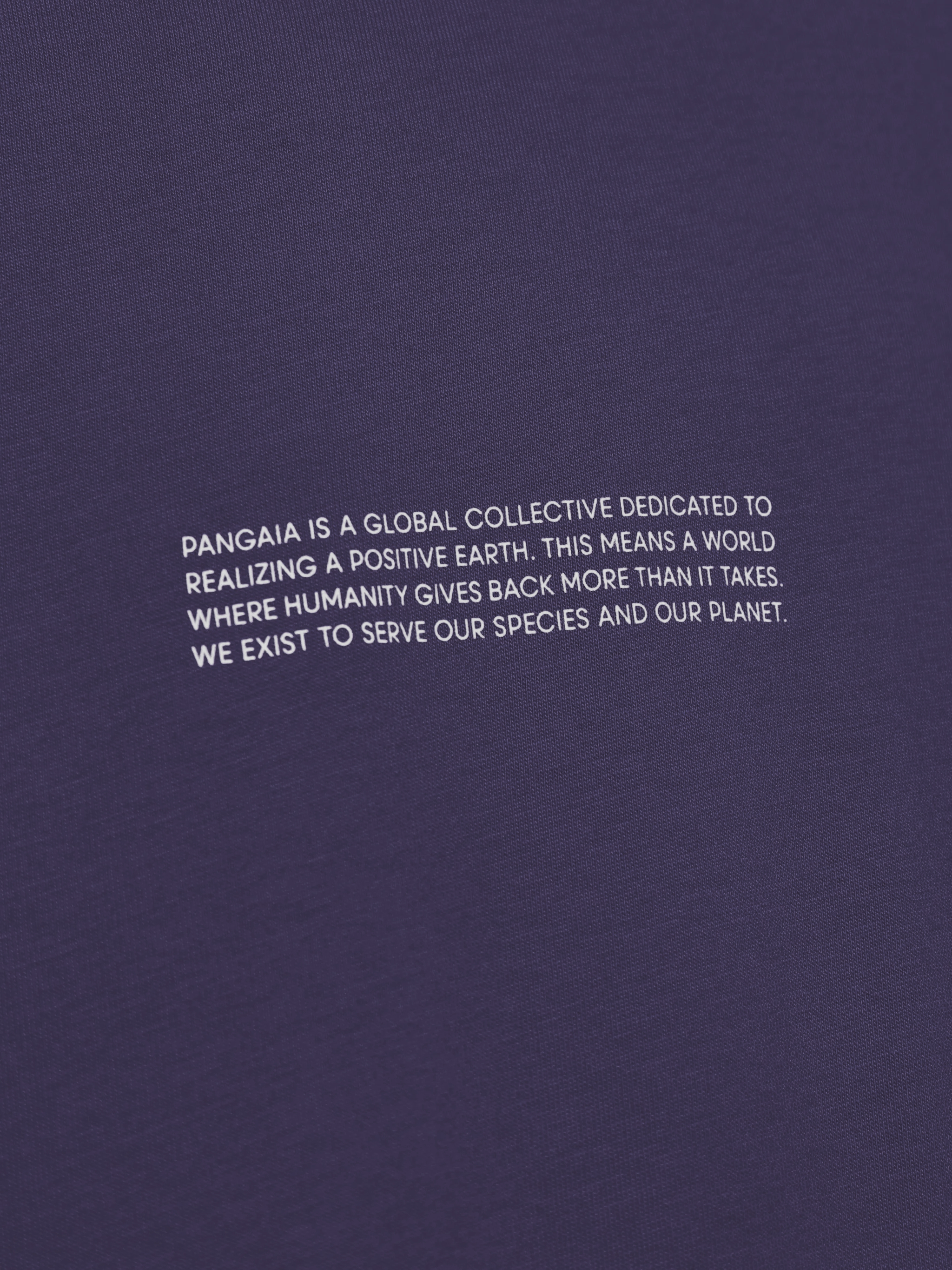 PANGAIA T-shirts and Polos 10000287SLATEBLUE (PANGAIA / Tシャツ・カットソー ) | PANGAIA (パンゲア)(1)