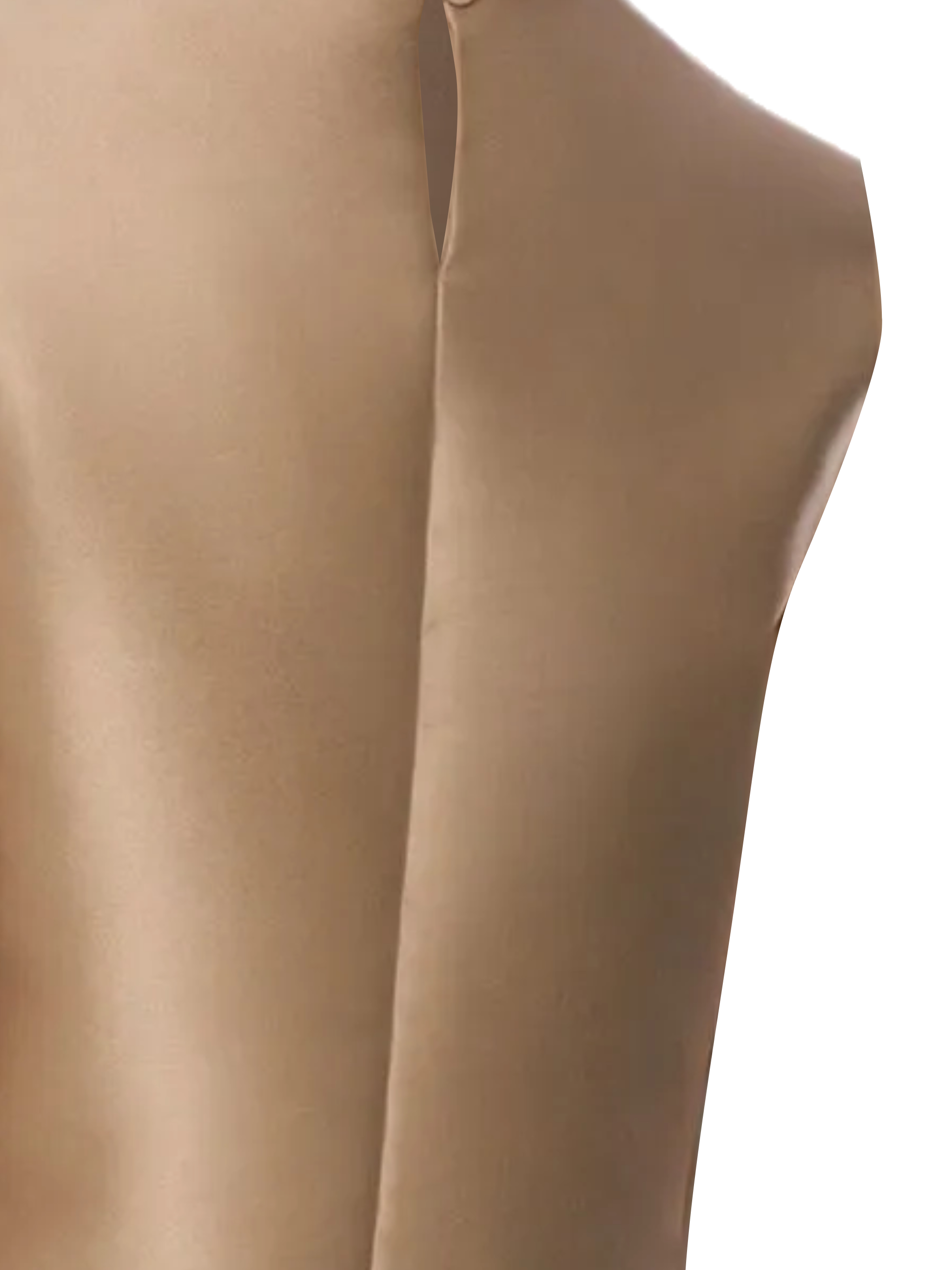 Alberta Ferretti Top AFA080451460511 (ALBERTA FERRETTI / タンクトップ・キャミソール ) | ALBERTA FERRETTI (アルベルタ フェレッティ)(2)