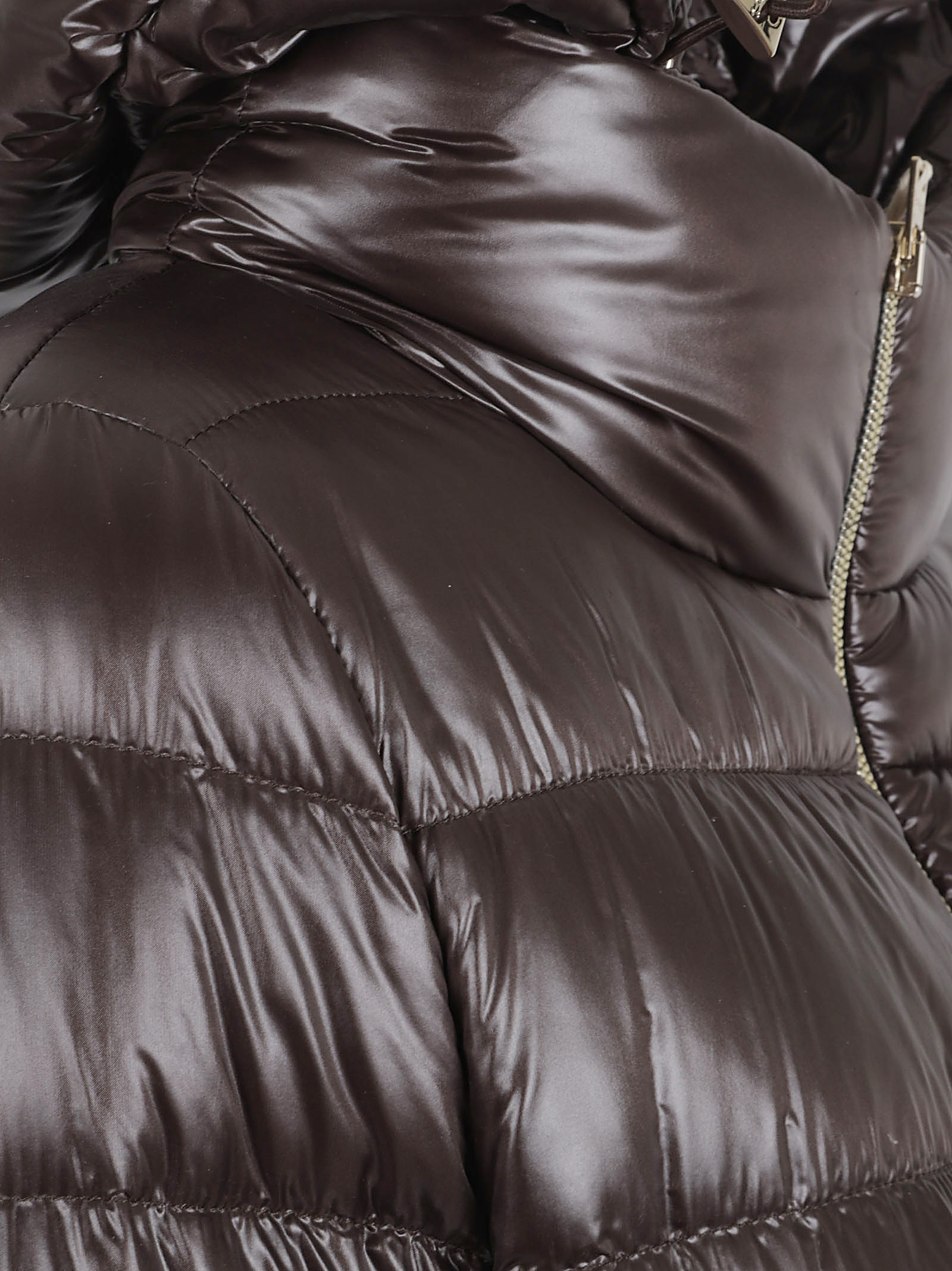 PADDED JACKET PI0833DIC12017Z8800 (Herno / ダウンジャケット・コート ) | Herno (ヘルノ)(1)