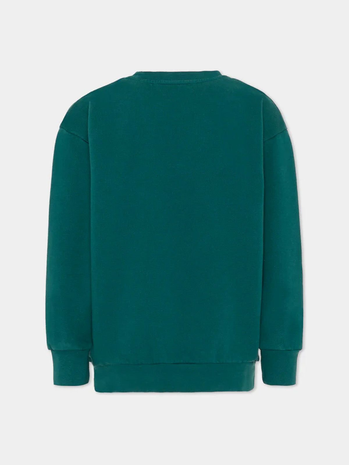 Printed Sweatshirt GX4P20Z3333797 (ETRO / スウェット・フーディー ) | ETRO (エトロ)(1)