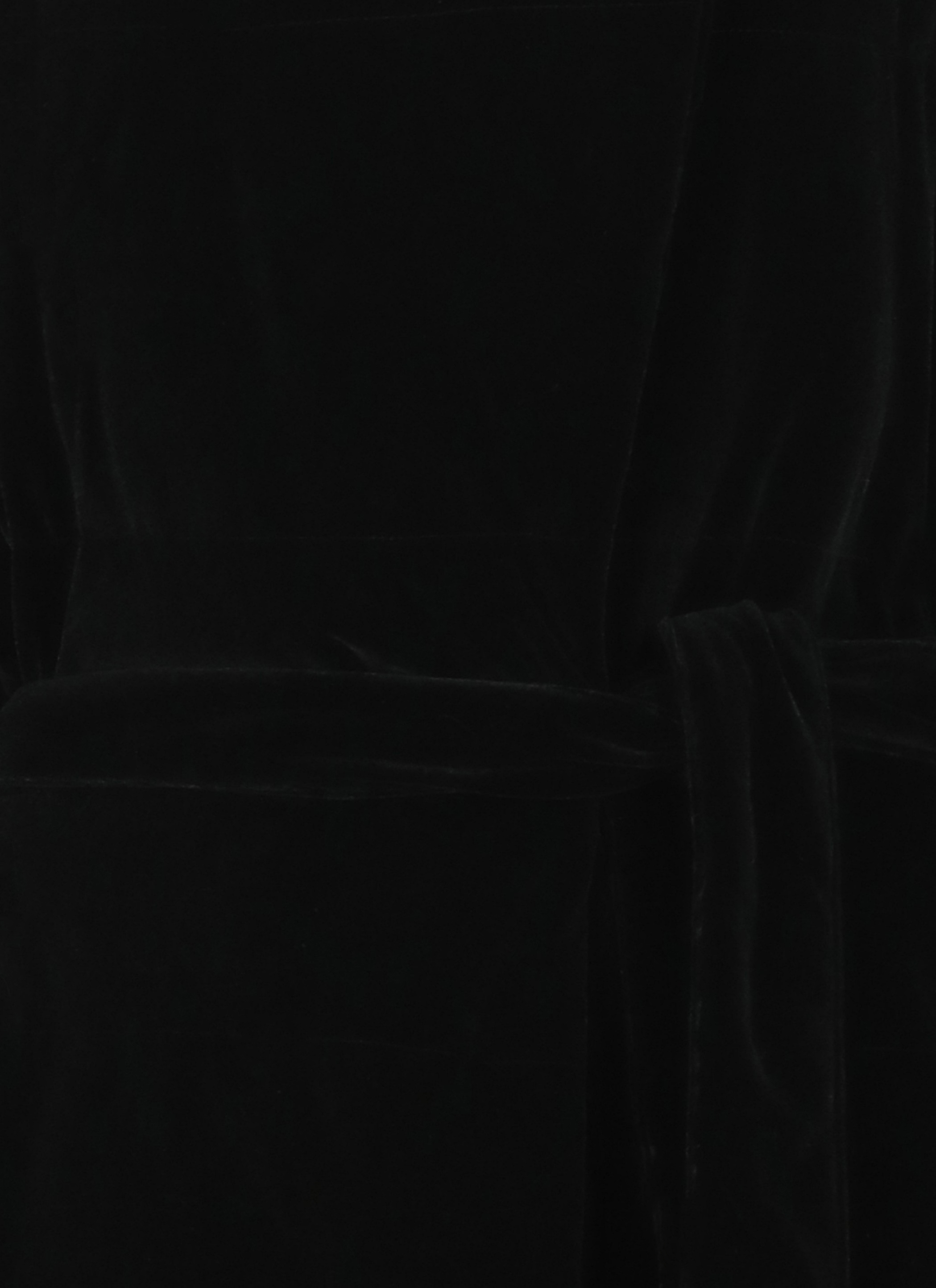 Herno Coats Black PI002170D15020S9300 (Herno / ダウンジャケット・コート ) | Herno (ヘルノ)(2)