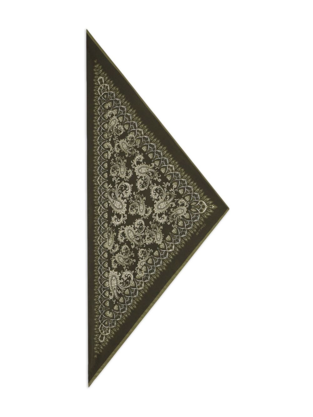 Etro Accessories MAXA0005AKG99V0556 (ETRO / スカーフ・マフラー ) | ETRO (エトロ)