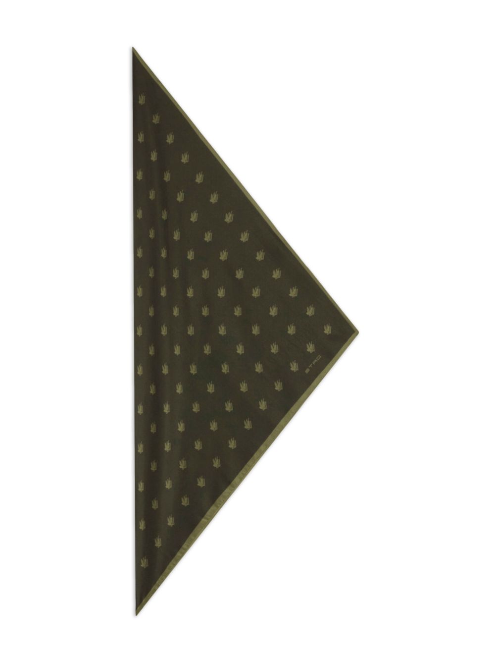 Etro Accessories MAXA0005AKG99V0556 (ETRO / スカーフ・マフラー ) | ETRO (エトロ)(2)