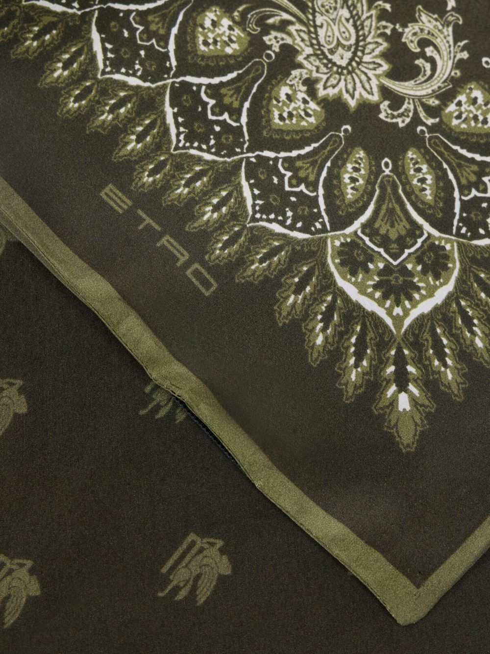 Etro Accessories MAXA0005AKG99V0556 (ETRO / スカーフ・マフラー ) | ETRO (エトロ)(3)