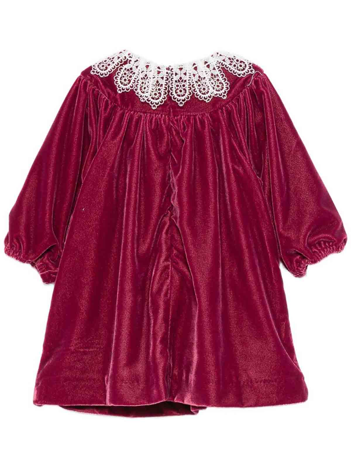 Velvet Dress CB3005139RHODODENDRON (Tartine et Chocolat / ワンピース・ドレス・オールインワン ) | Tartine et Chocolat (タルティーヌ エ ショコラ)(1)