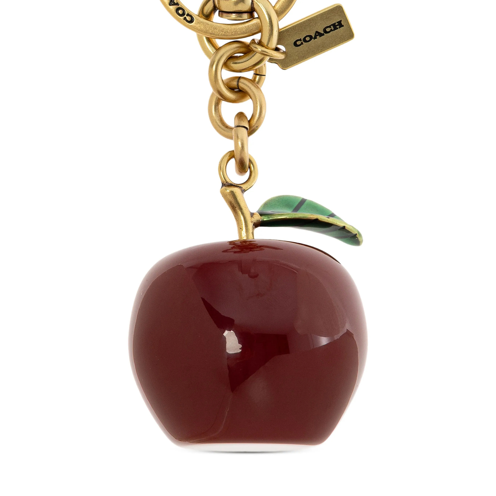 Keyring Coach CY399MULTI (COACH / キーリング・キーケース ) | COACH (コーチ)(3)