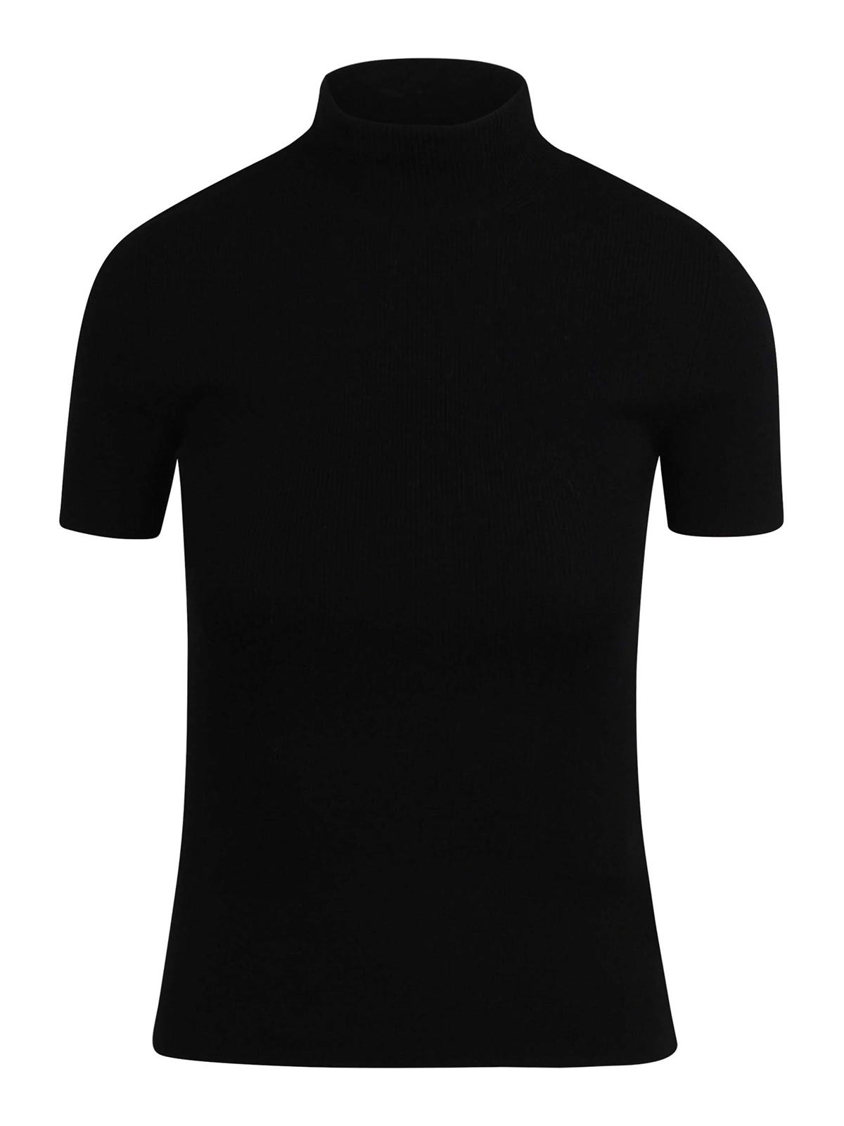 Short-Sleeved Wool Yarn Turtleneck 252136628365E15 (Max Mara / ニット・セーター・カーディガン ) | Max Mara (マックスマーラ)