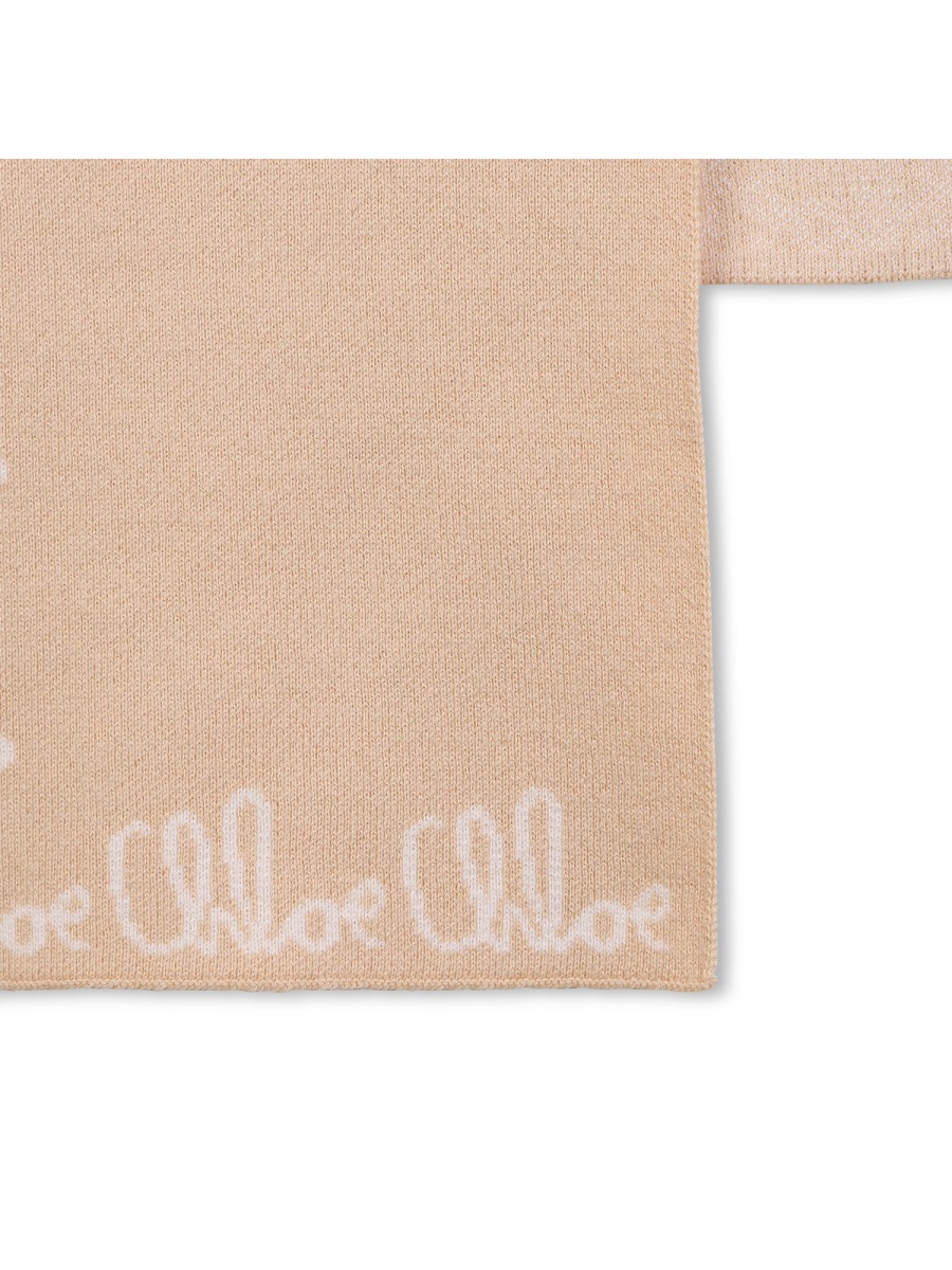 SCARF WITH LOGO C20674K257 (Chloé / スカーフ・マフラー ) | Chloé (クロエ)(1)