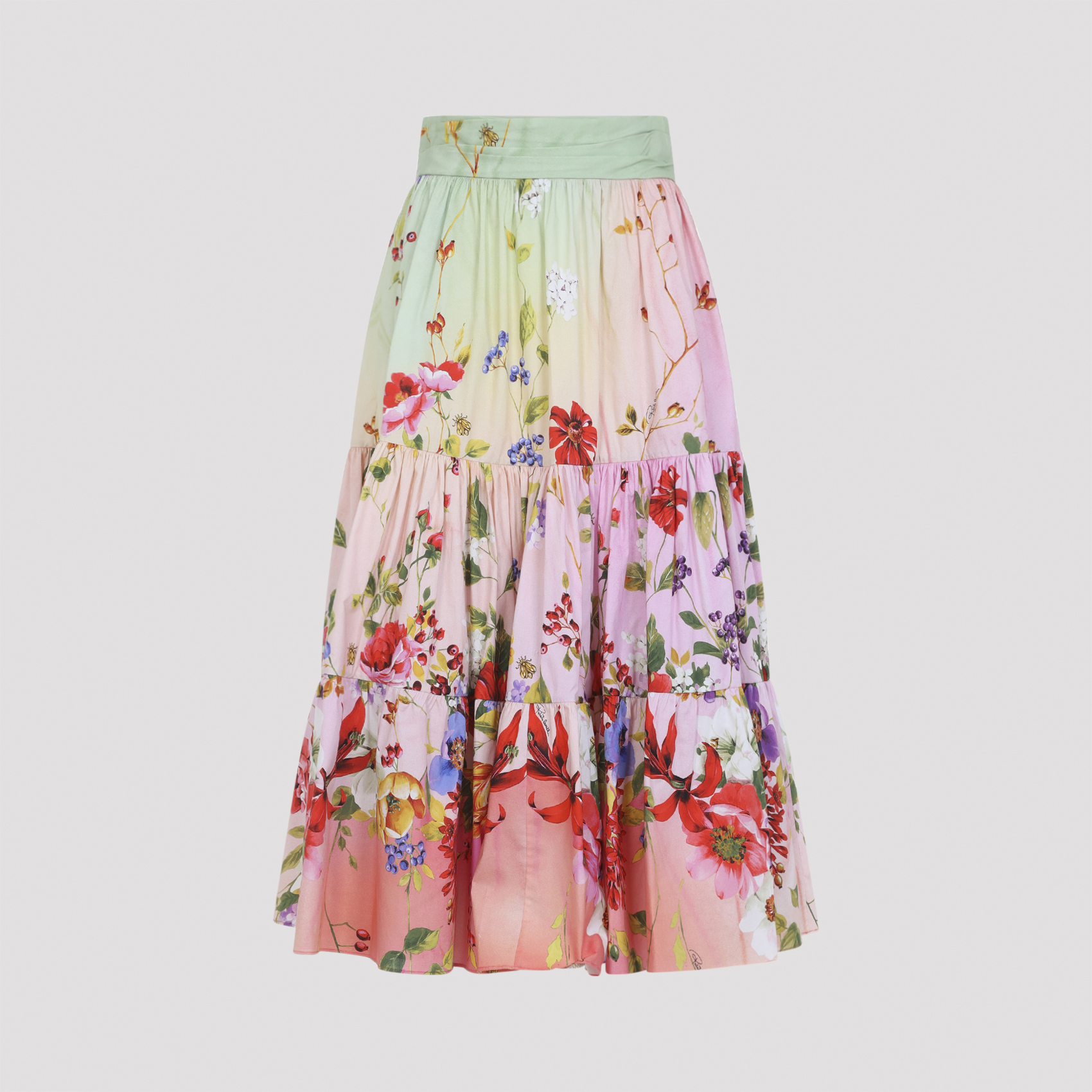 WQT3033AR32D0509 (roberto cavalli / スカート ) | roberto cavalli (ロベルト カヴァリ)(1)