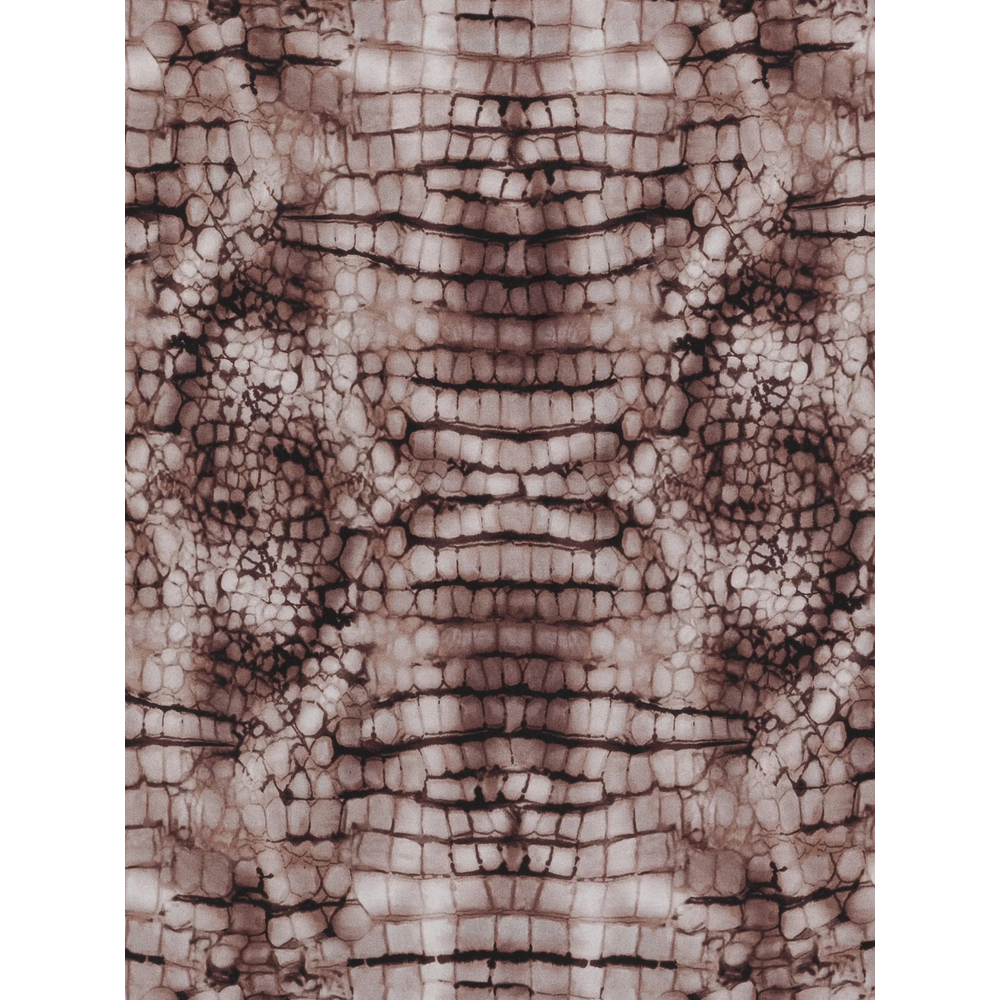 Scarf Elisabetta Franchi FO24L61E2644 (Elisabetta Franchi / スカーフ・マフラー ) | Elisabetta Franchi (エリザベッタ フランキ)(1)