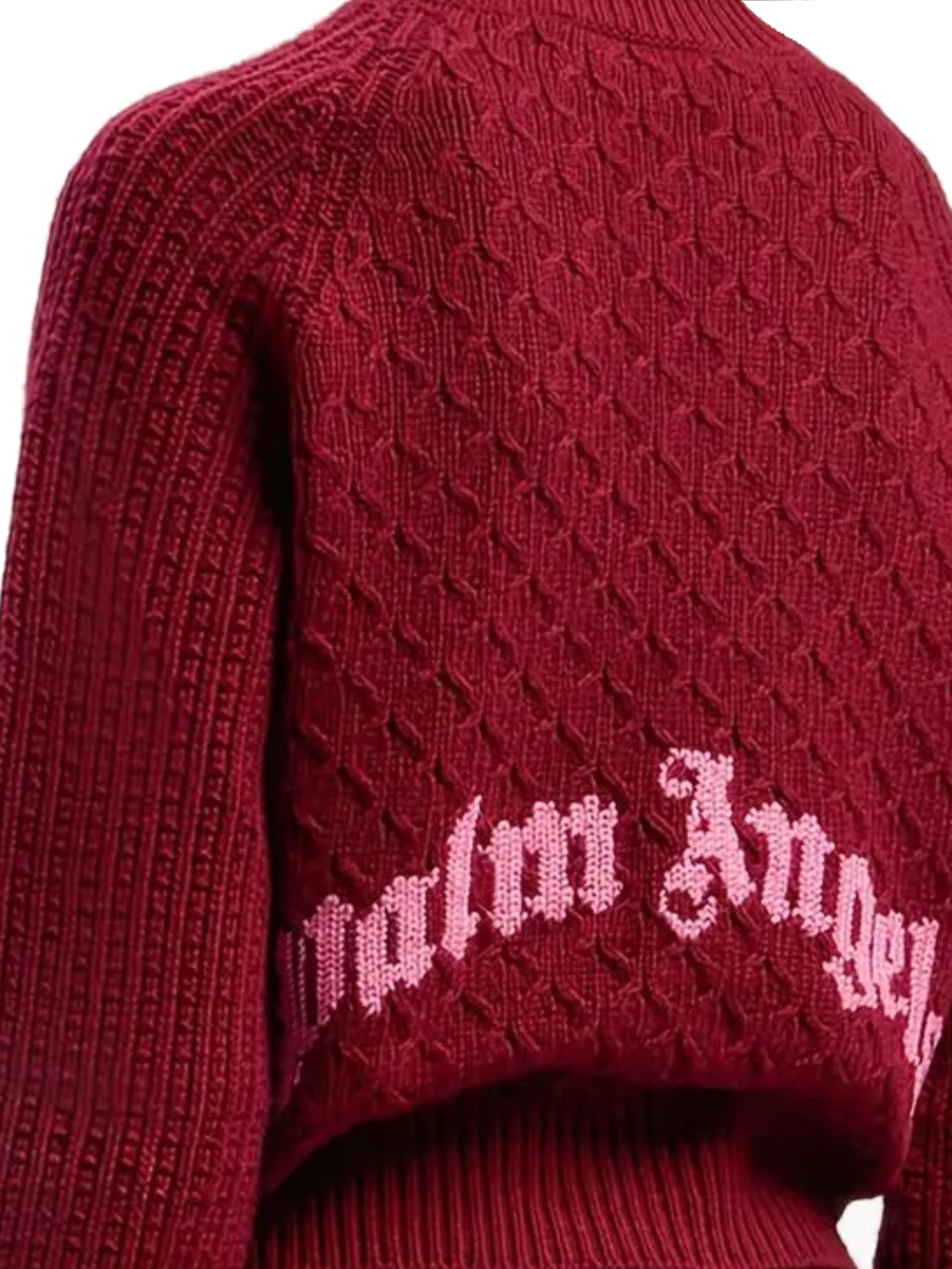 Palm Angels Sweaters Purple PWHE077F25KNI0012830 (Palm Angels / ニット・セーター・カーディガン ) | Palm Angels (パームエンジェルス)(2)