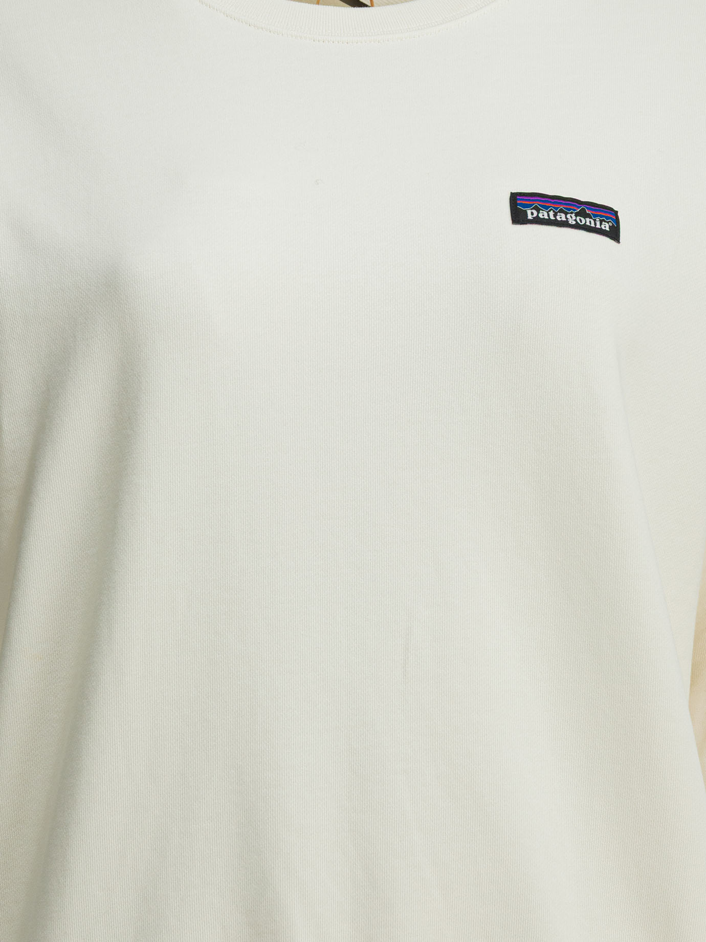 Sweatshirts 42172WLWT (patagonia / スウェット・フーディー ) | patagonia (パタゴニア)(2)