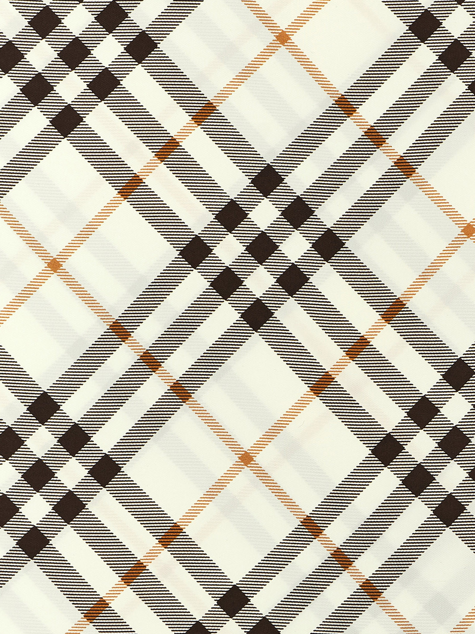 Check scarf 8120319PEBBLEWHITE (Burberry / スカーフ・マフラー ) | Burberry (バーバリー)(2)