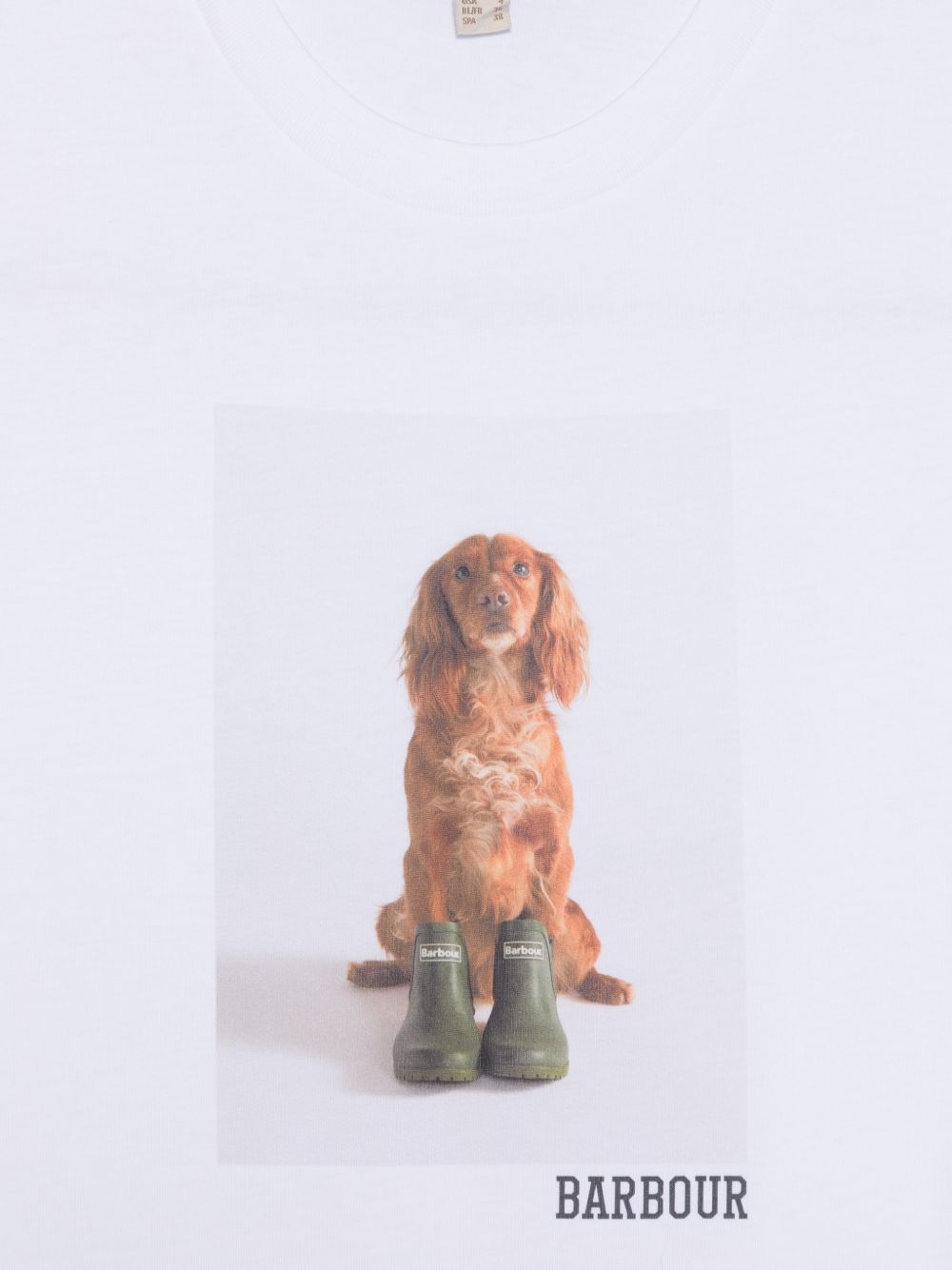 Barbour T-shirts and Polos White LTS0715LTSWH11 (Barbour / Tシャツ・カットソー ) | Barbour (バブアー)(2)