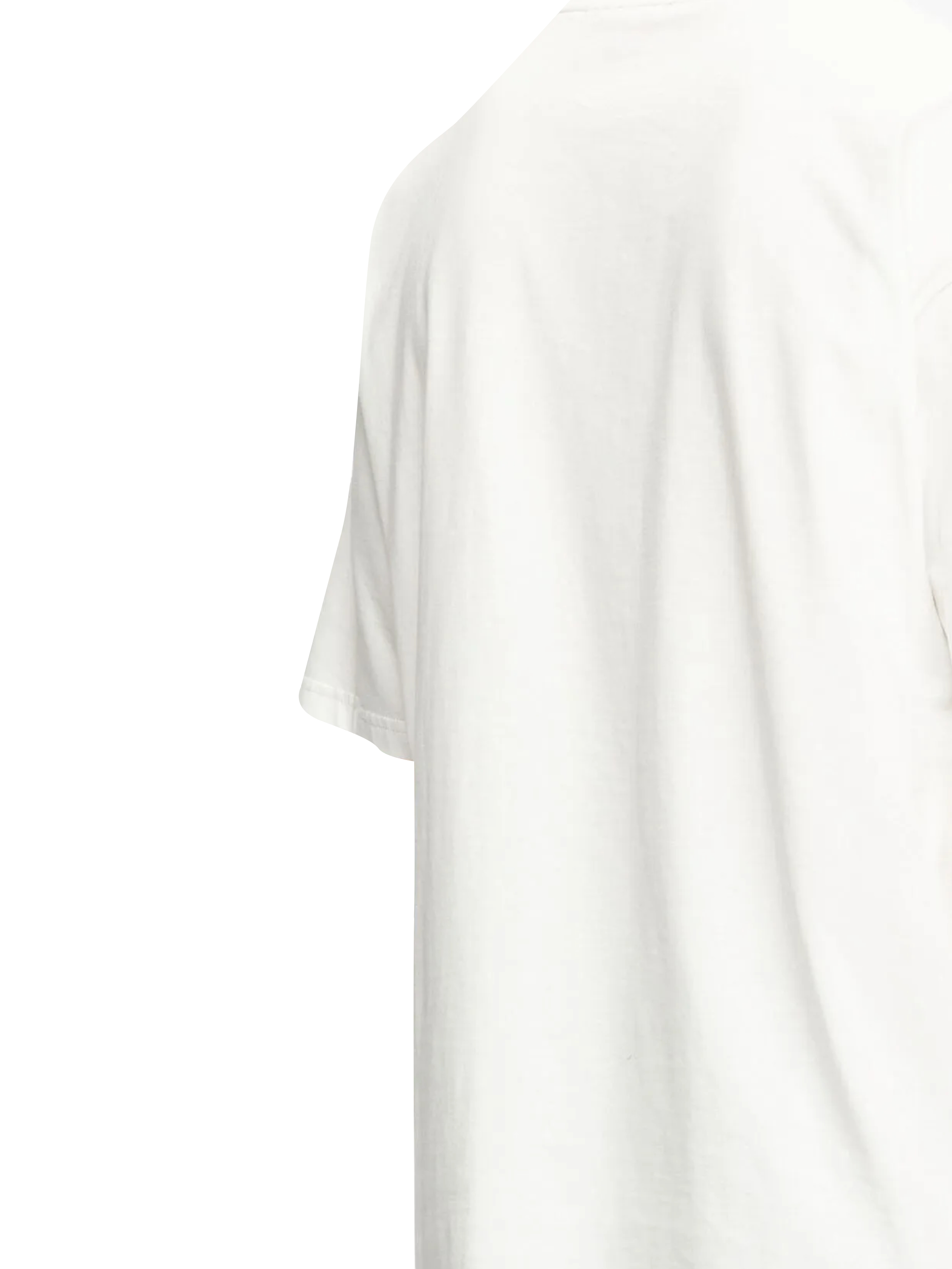 Diesel T-shirts and Polos A209450PLAT141 (Diesel / Tシャツ・カットソー ) | Diesel (ディーゼル)(2)