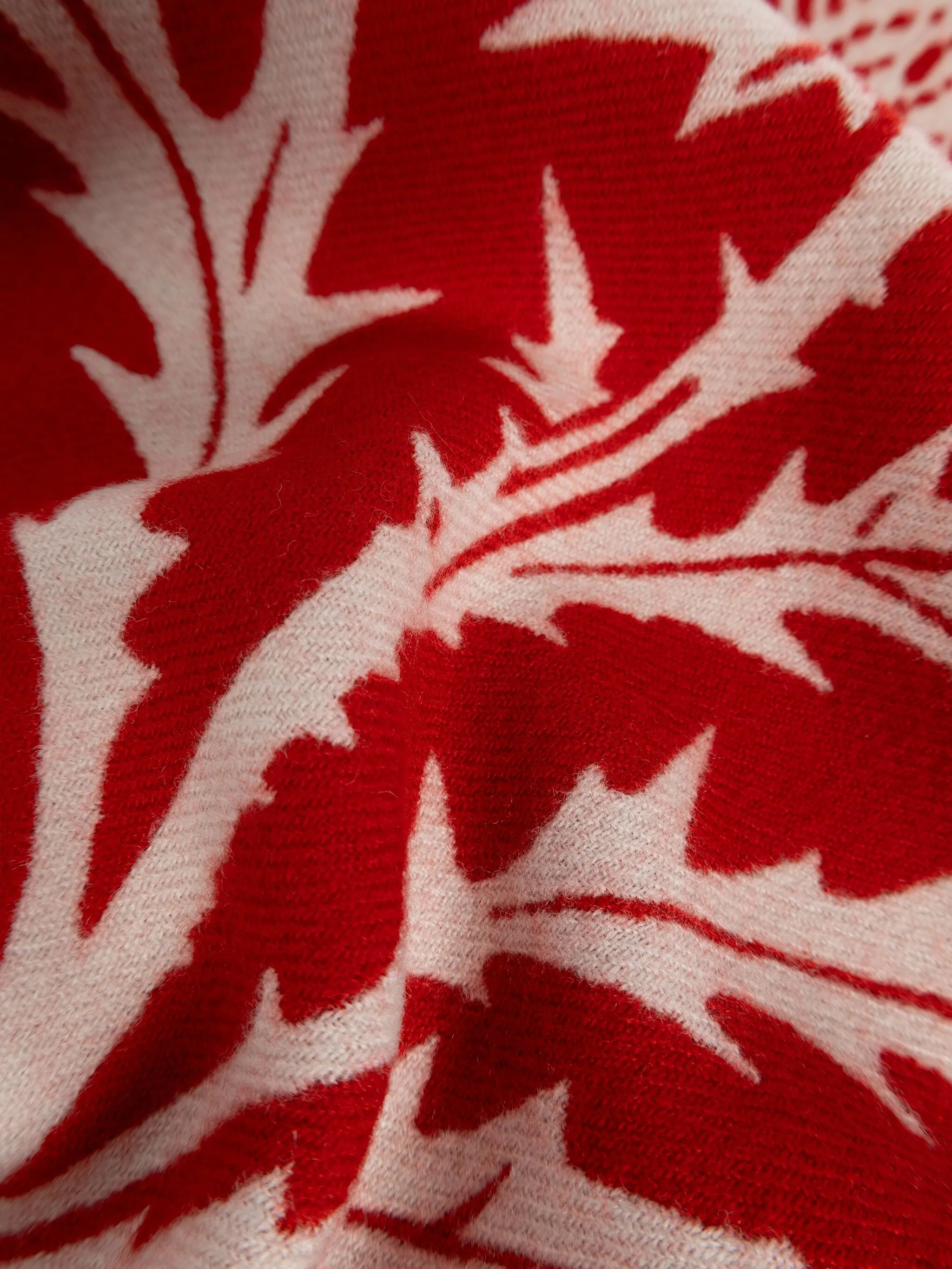 Burberry Scarfs Poppy Red 8117701X (Burberry / スカーフ・マフラー ) | Burberry (バーバリー)(2)