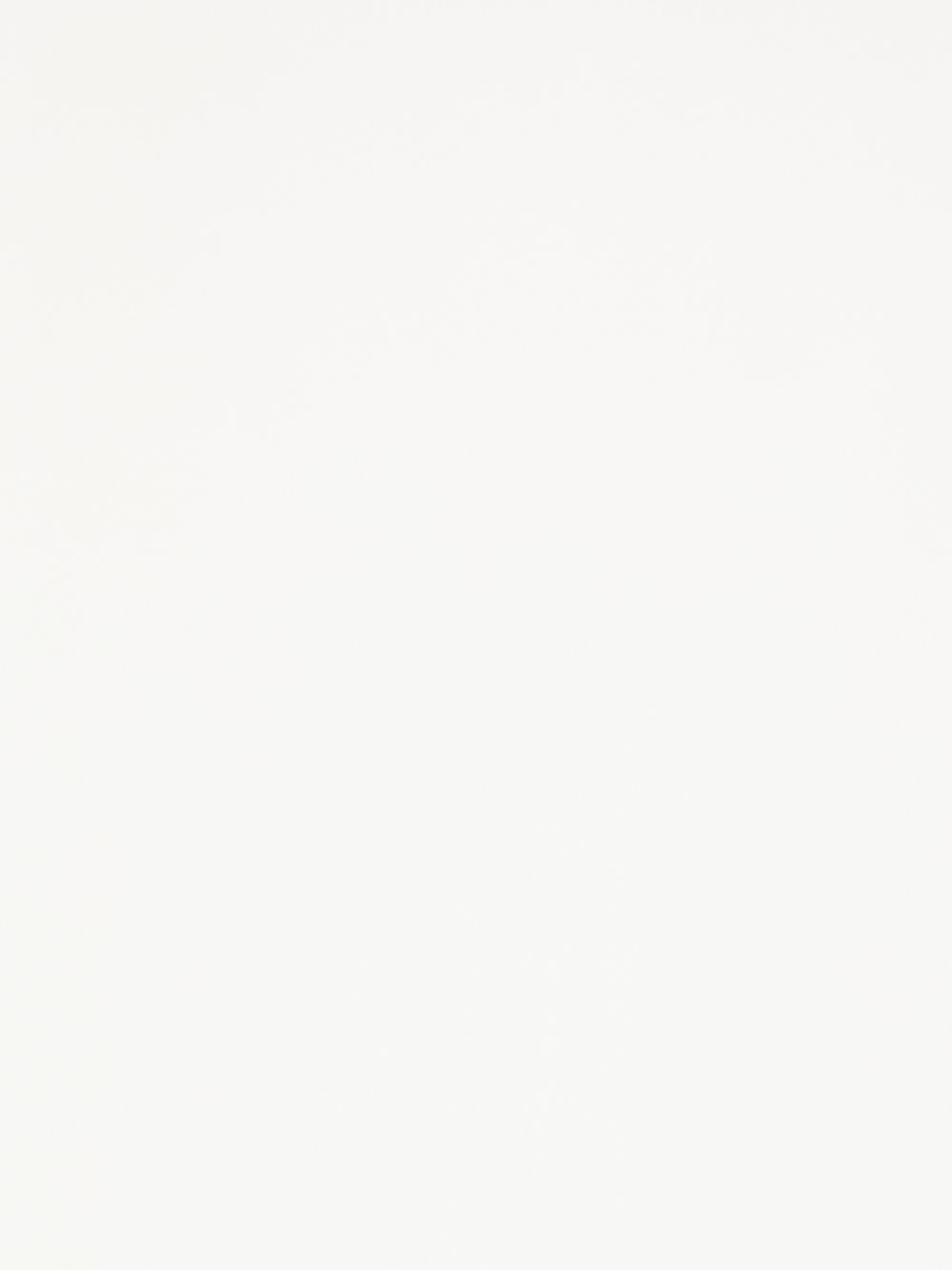 D EXTERIOR Scarfs Ivory 626943AVOR (D.EXTERIOR / スカーフ・マフラー ) | D.EXTERIOR (ディーエクステリア)(1)