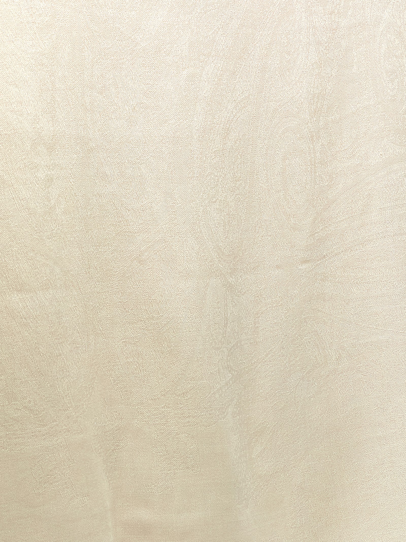 'MxaPalmeti' stole 2614541052600005 (Max Mara / スカーフ・マフラー ) | Max Mara (マックスマーラ)(1)