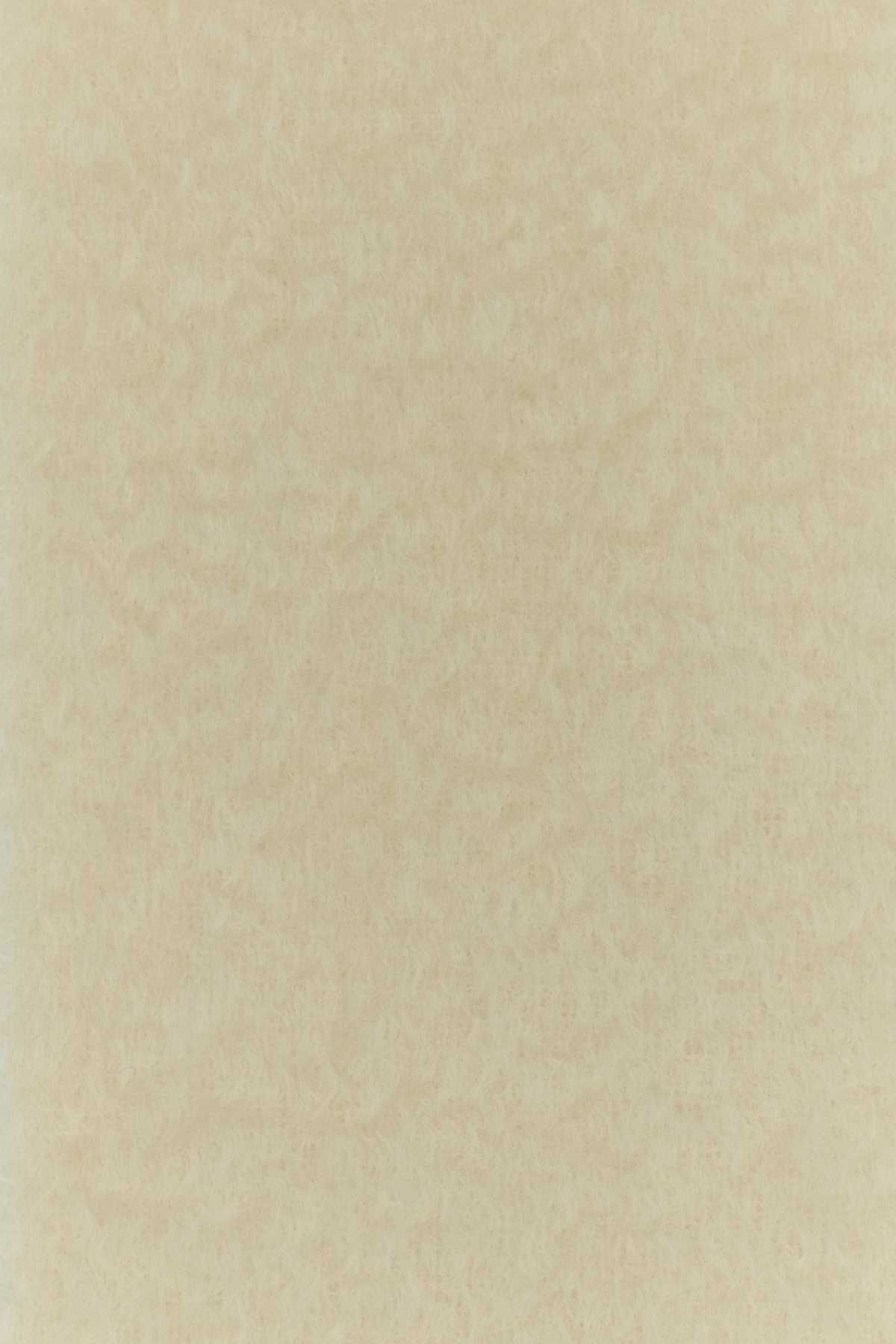 Ivory mohair blend scarf FSA6SS1X05WHITE (LOEWE / スカーフ・マフラー ) | LOEWE (ロエベ)(2)