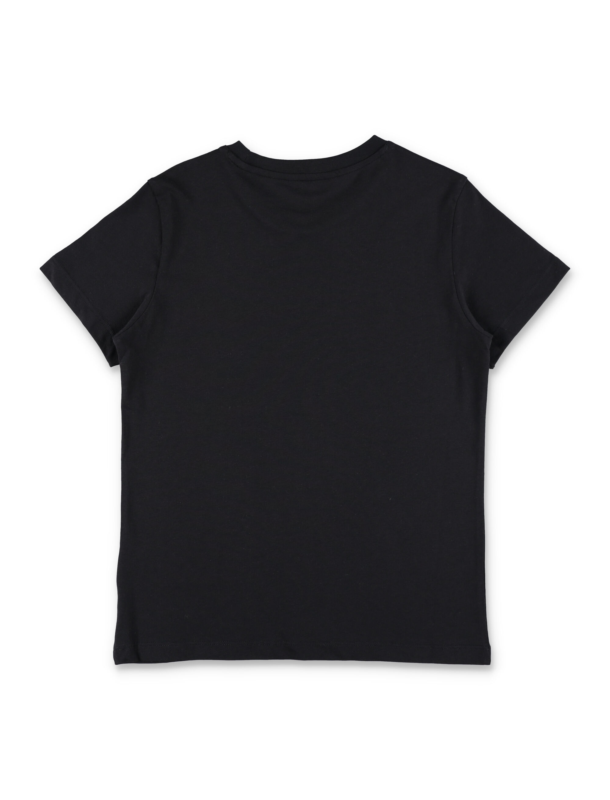 THE NORTH FACE T-shirts and Polos Black NF0A8G1WJK31 (THE NORTH FACE / Tシャツ・カットソー ) | THE NORTH FACE (ザ・ノース・フェイス)(2)