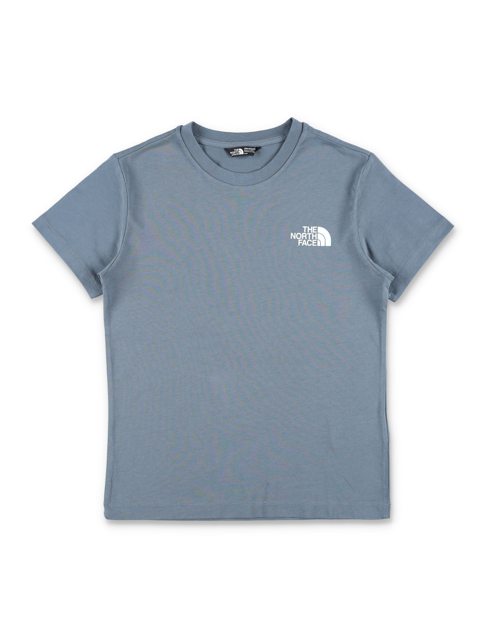 THE NORTH FACE T-shirts and Polos Grey NF0A8EFN0U31 (THE NORTH FACE / Tシャツ・カットソー ) | THE NORTH FACE (ザ・ノース・フェイス)