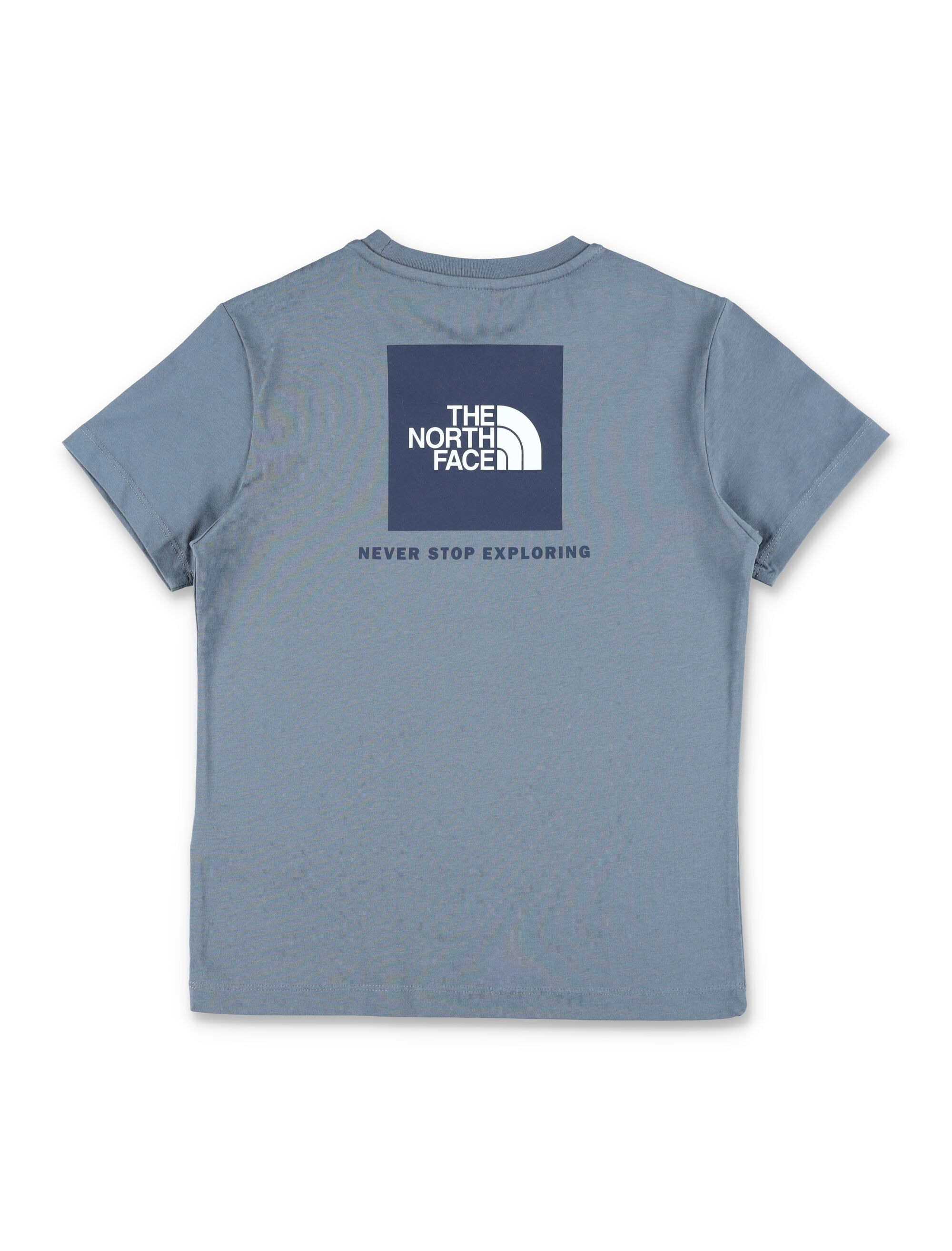 THE NORTH FACE T-shirts and Polos Grey NF0A8EFN0U31 (THE NORTH FACE / Tシャツ・カットソー ) | THE NORTH FACE (ザ・ノース・フェイス)(2)